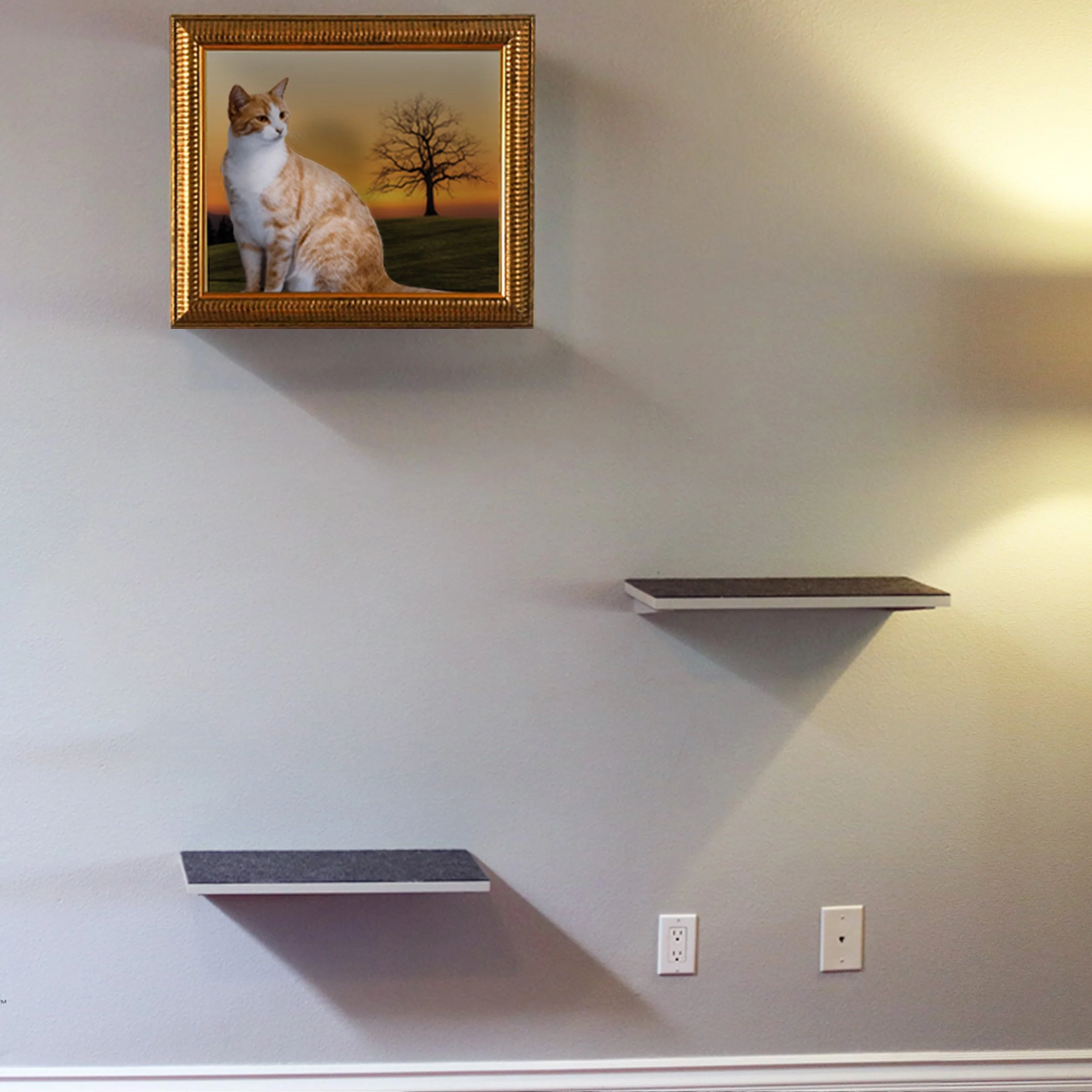 Feline-Frame-Shelves.jpg