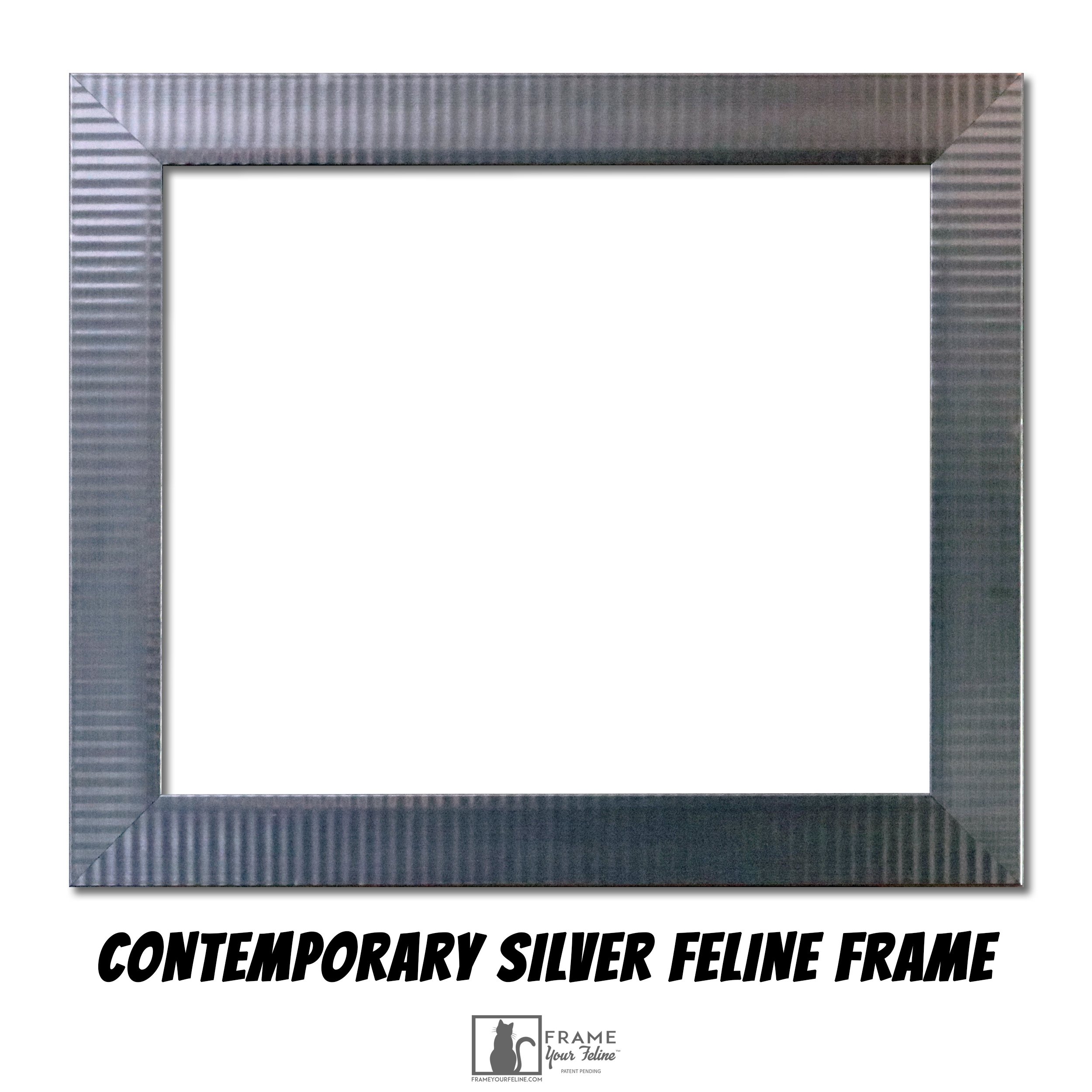 Contemporary-Silver-(2500x2500)-Feline-Frame.jpg