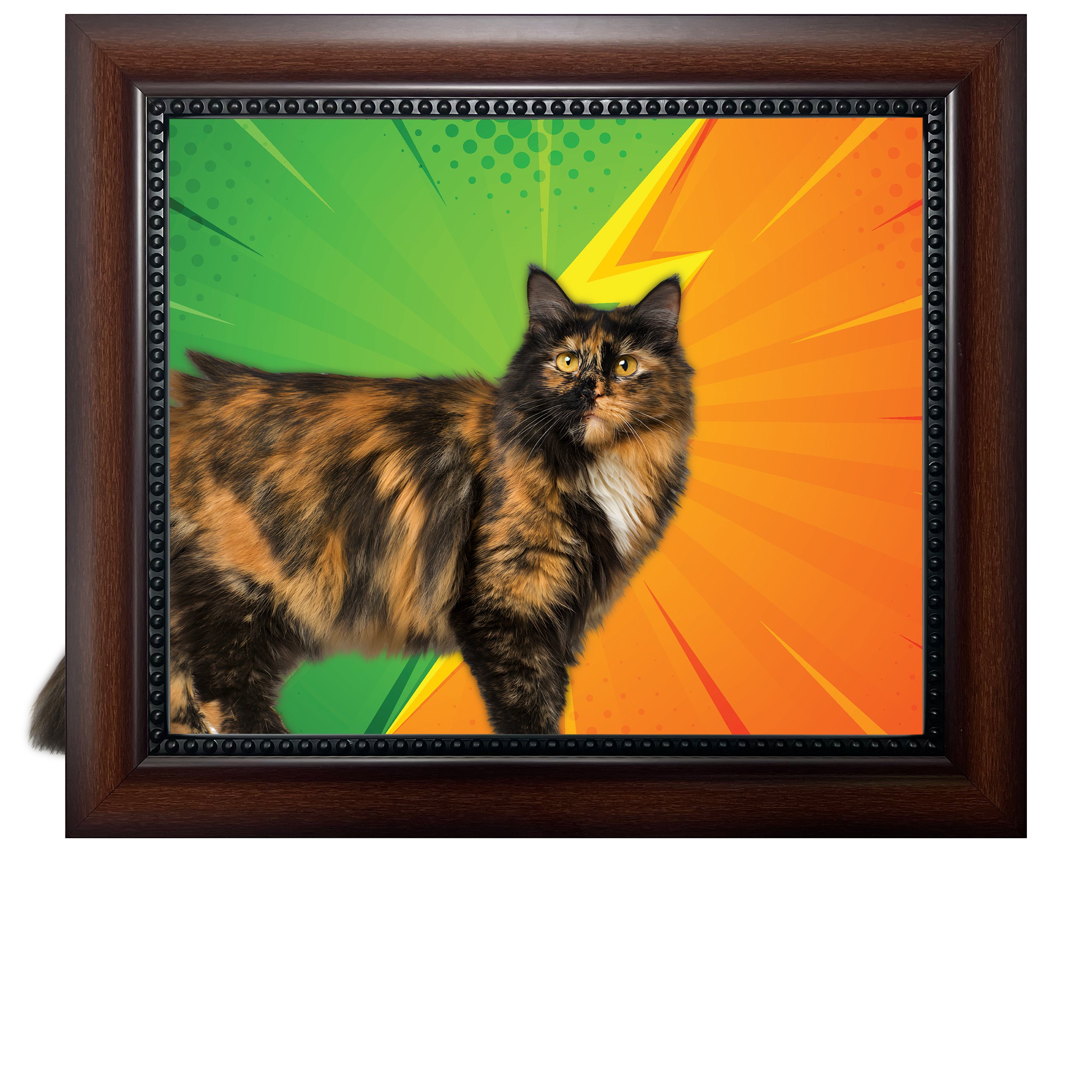 Battle-Line-CAT.jpg