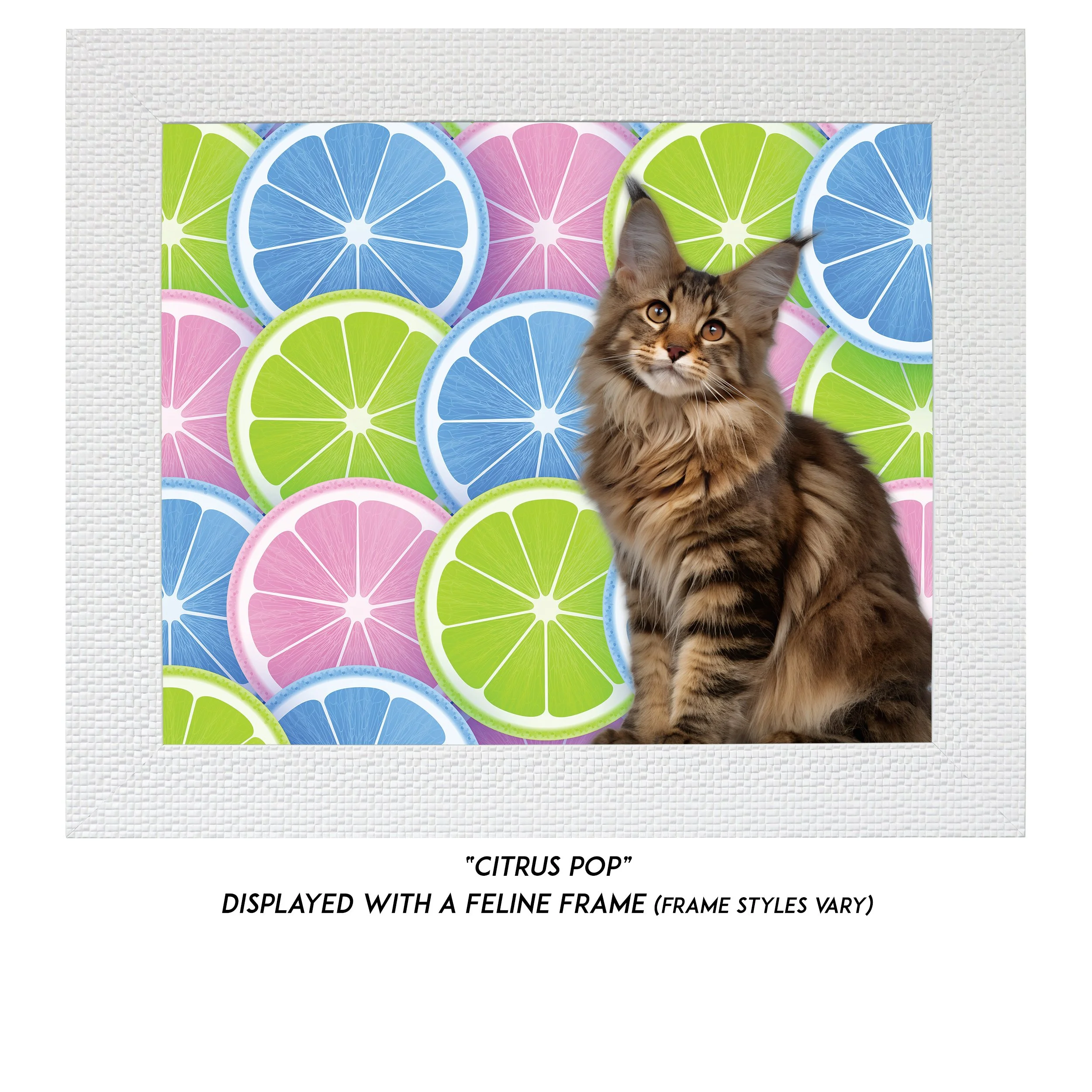 Citrus-Pop-CAT.jpg