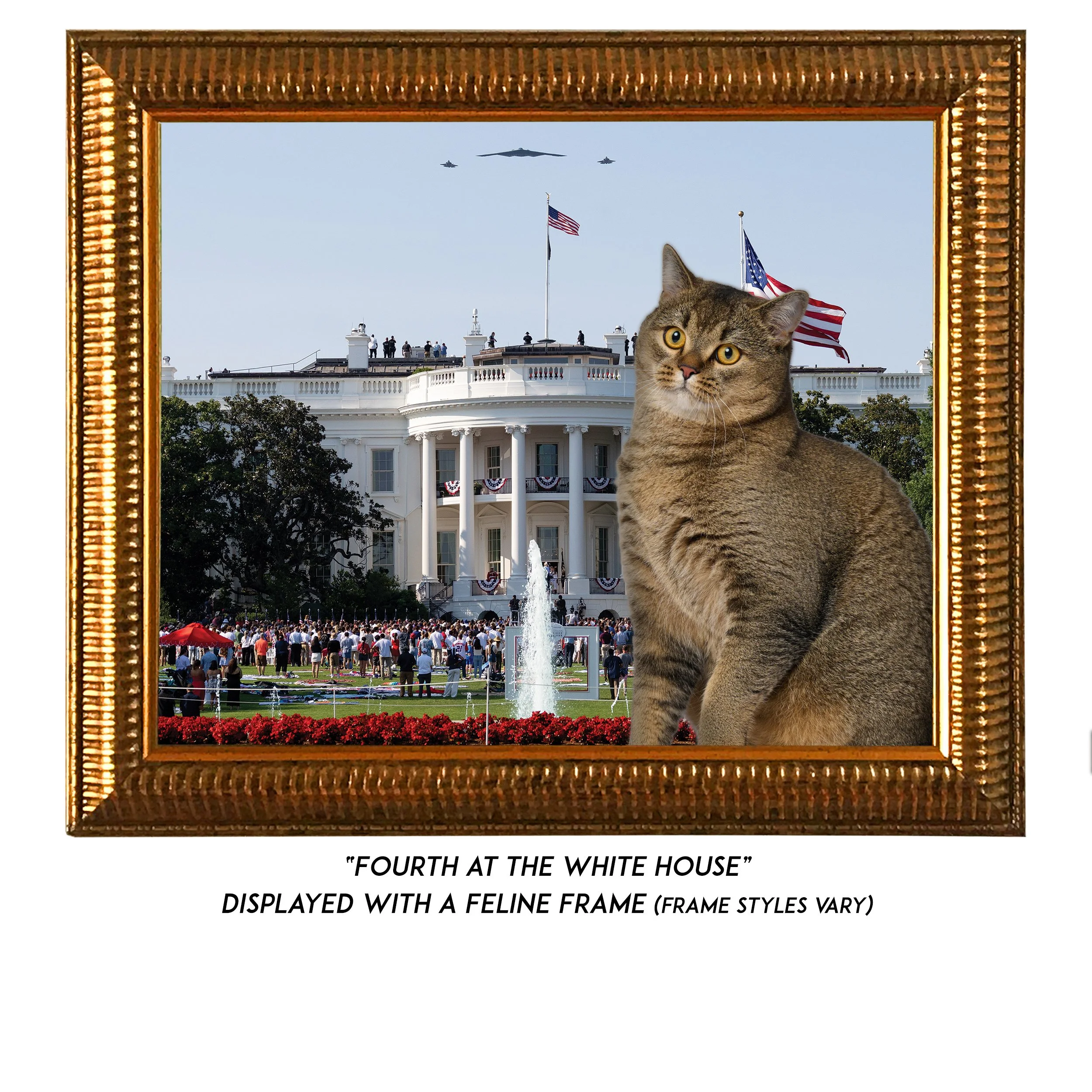Fourth-at-the-White-House-CAT.jpg