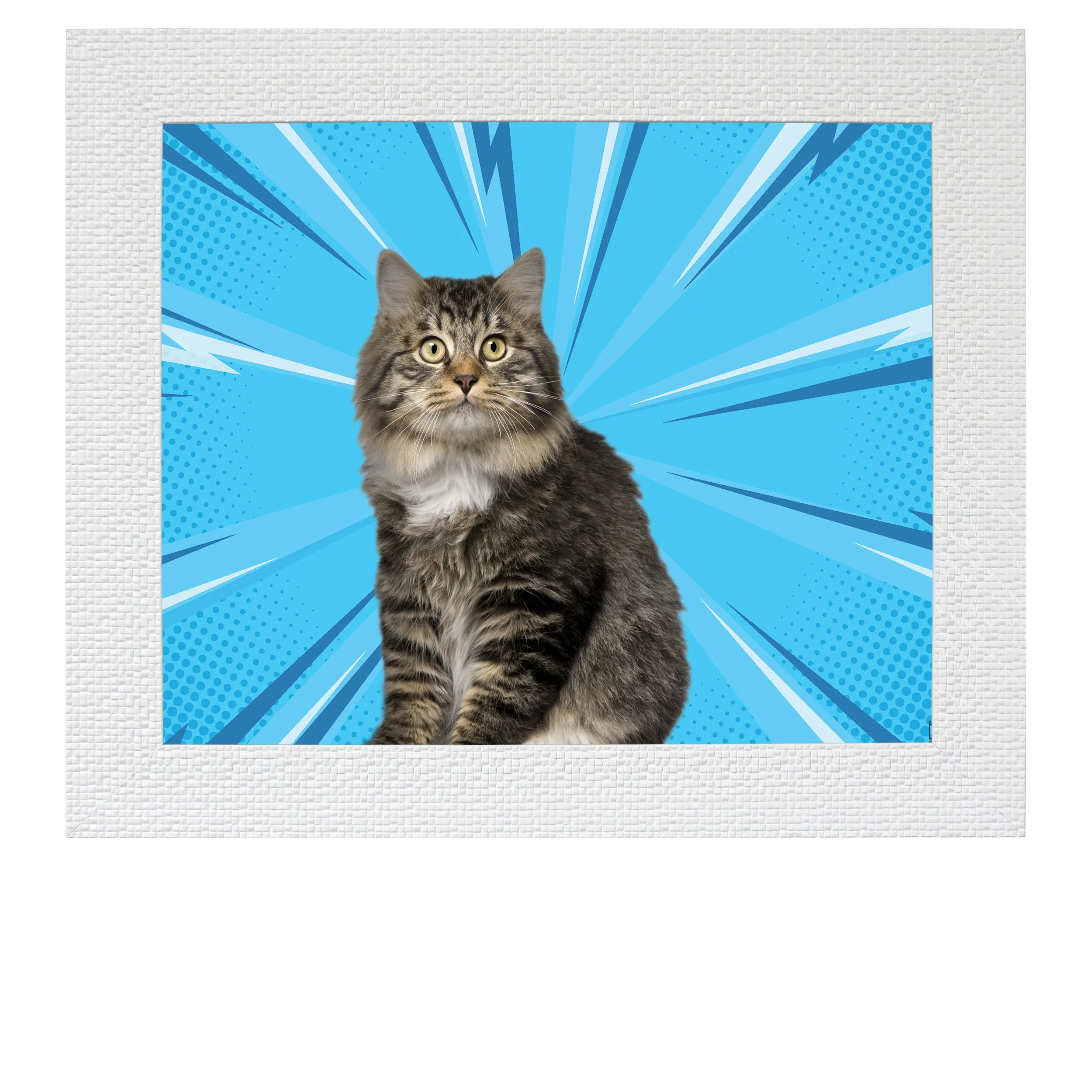 Blue-Speed-CAT.jpg