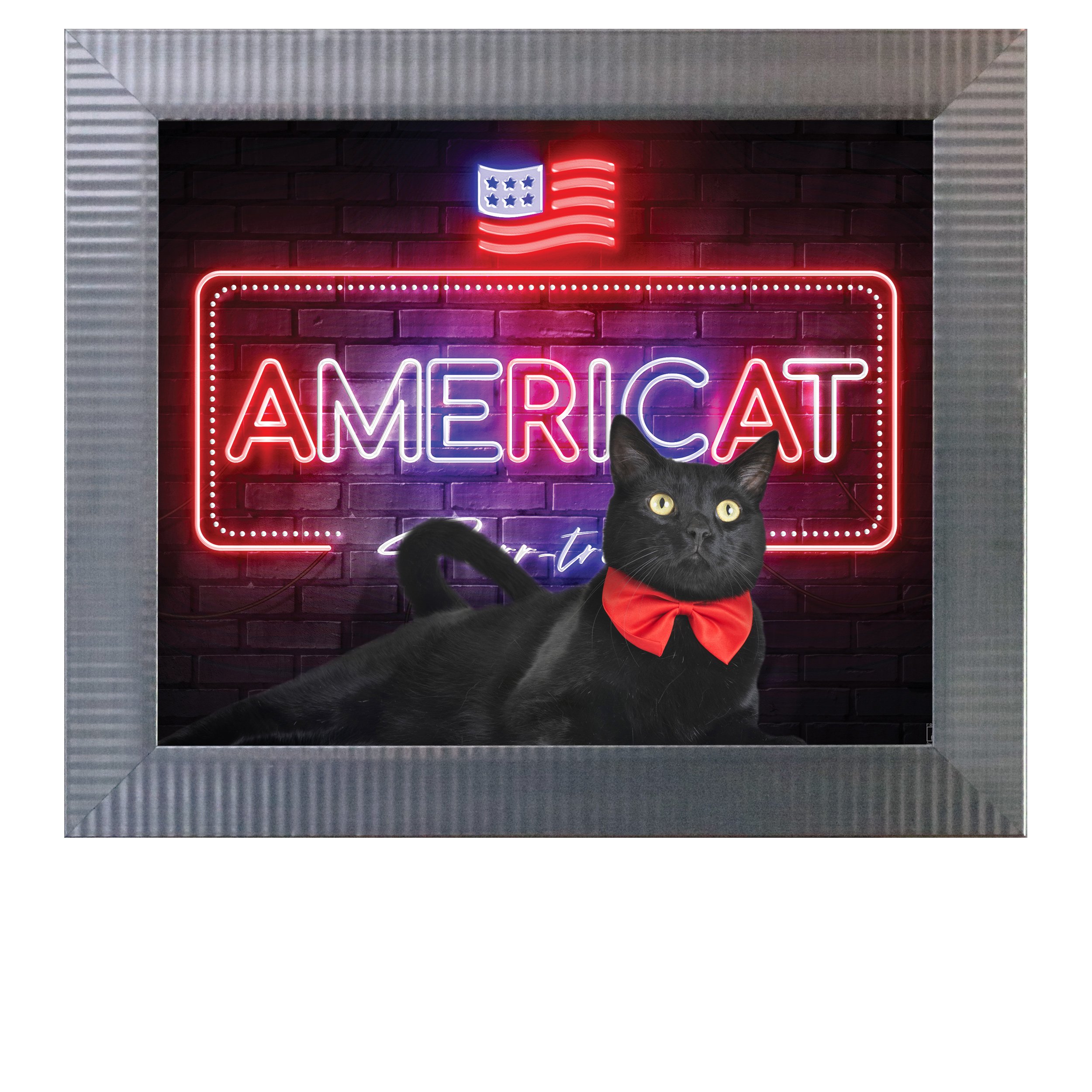 Americat-Purr-triot-CAT.jpg