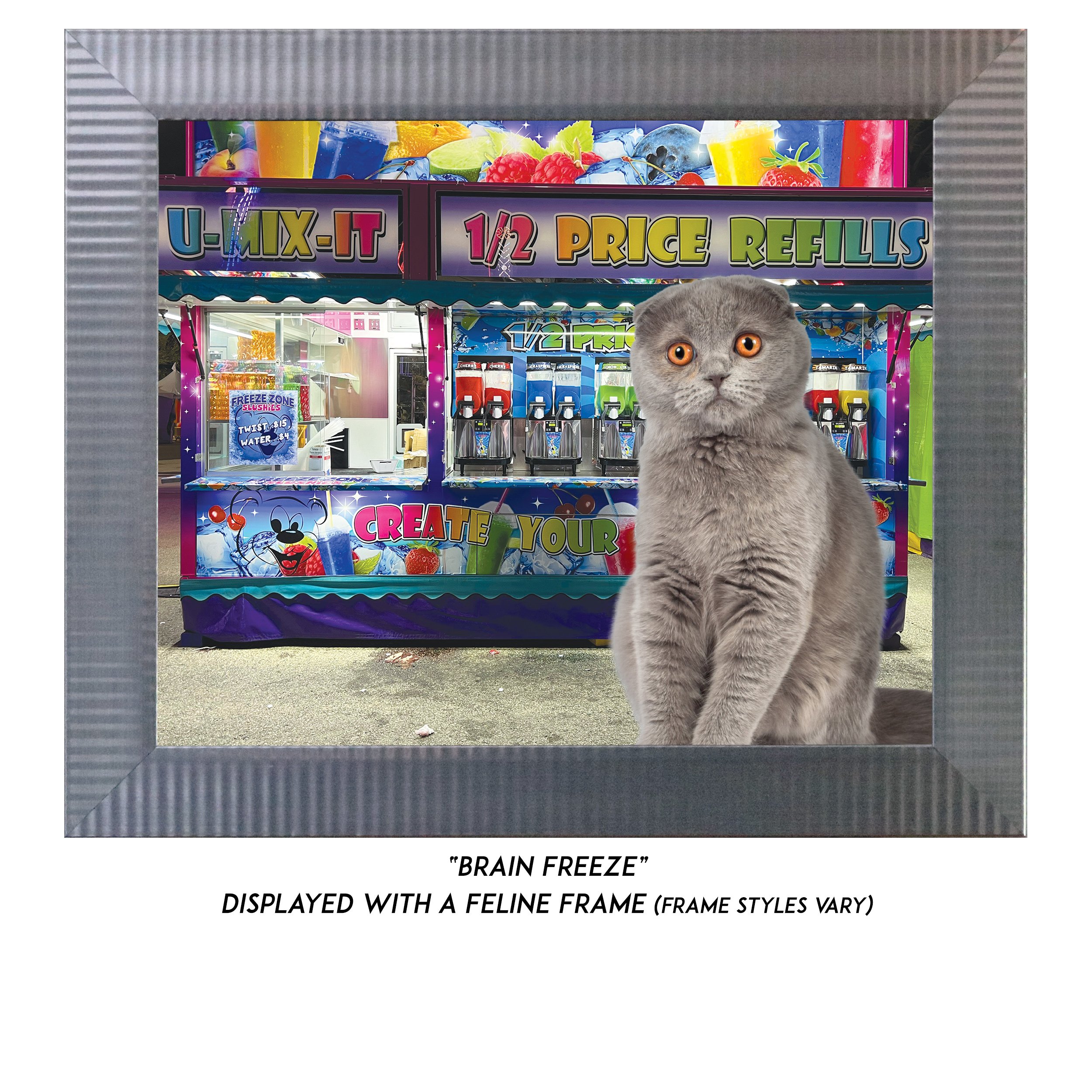 Brain-Freeze-CAT.jpg