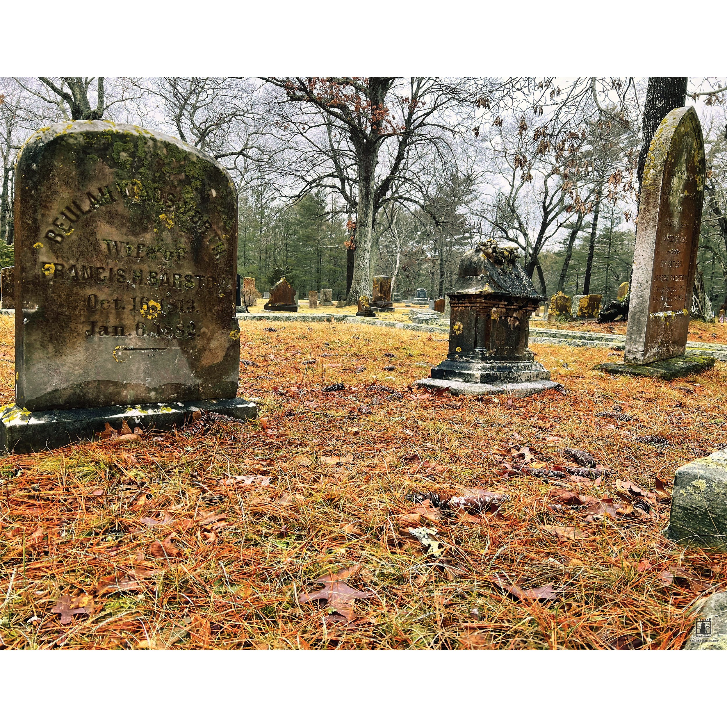 "Graveyard: Beulah" | By Kristina Hughes