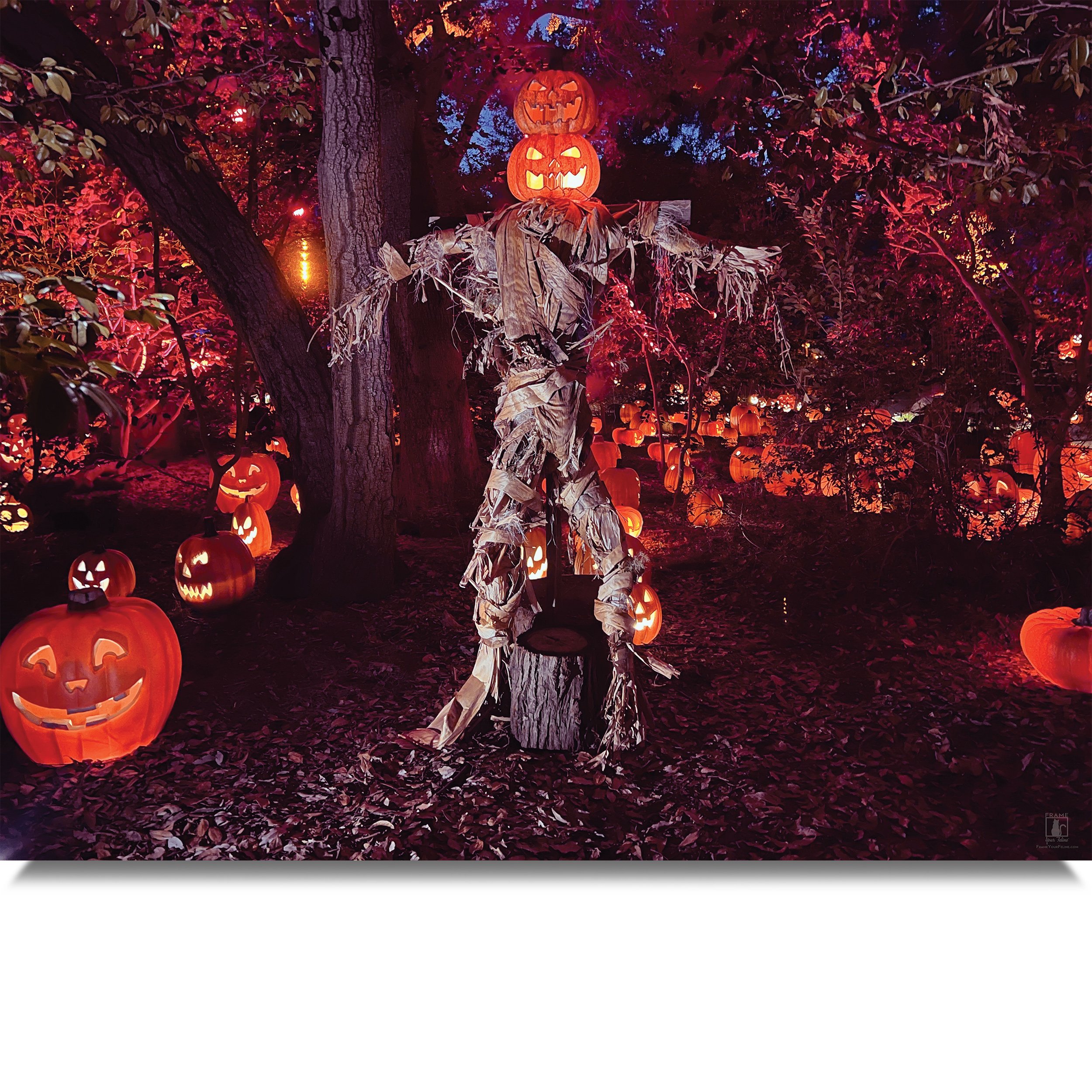 Jack-O'-the-Scarecrow-MB.jpg