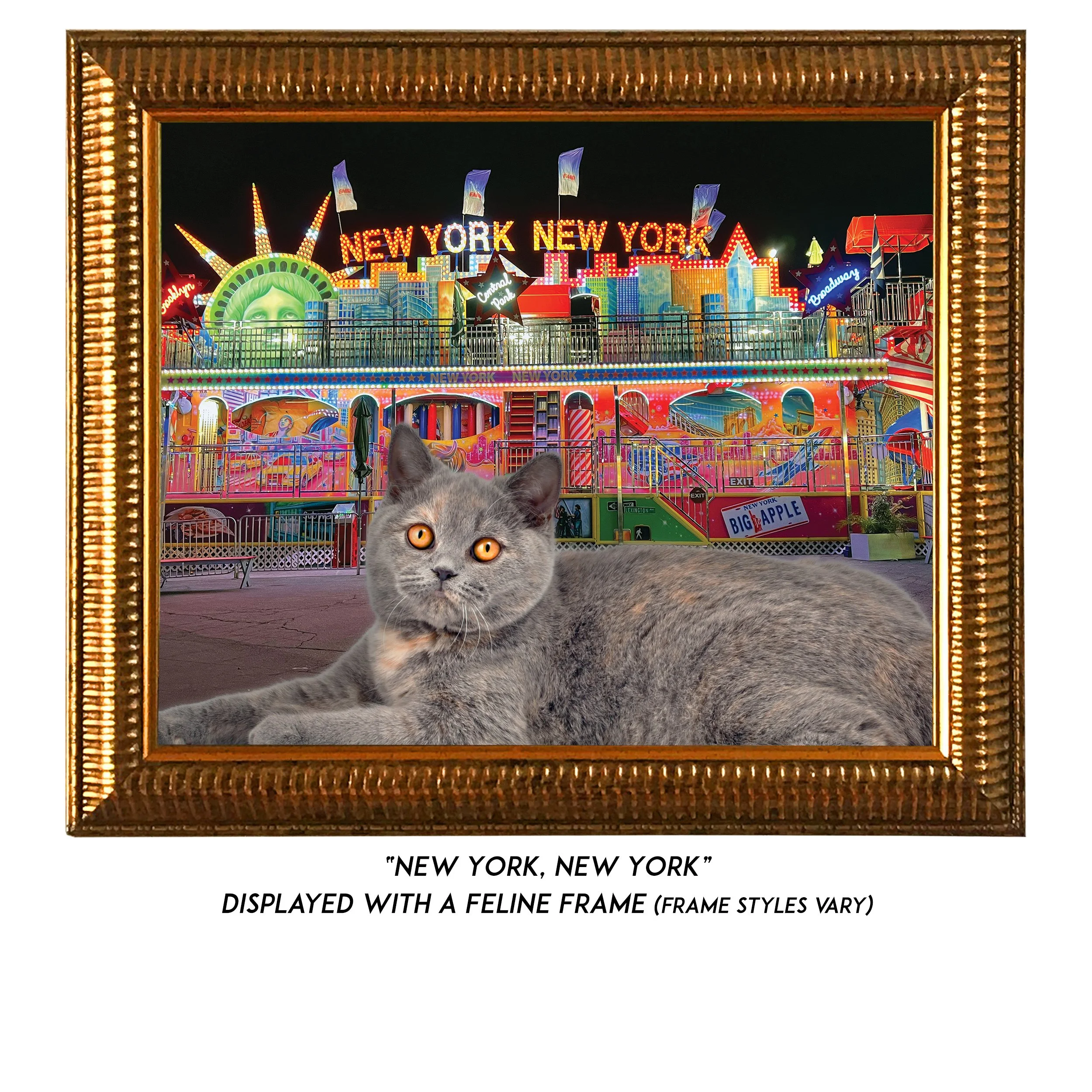 New-York-New-York-CAT.jpg