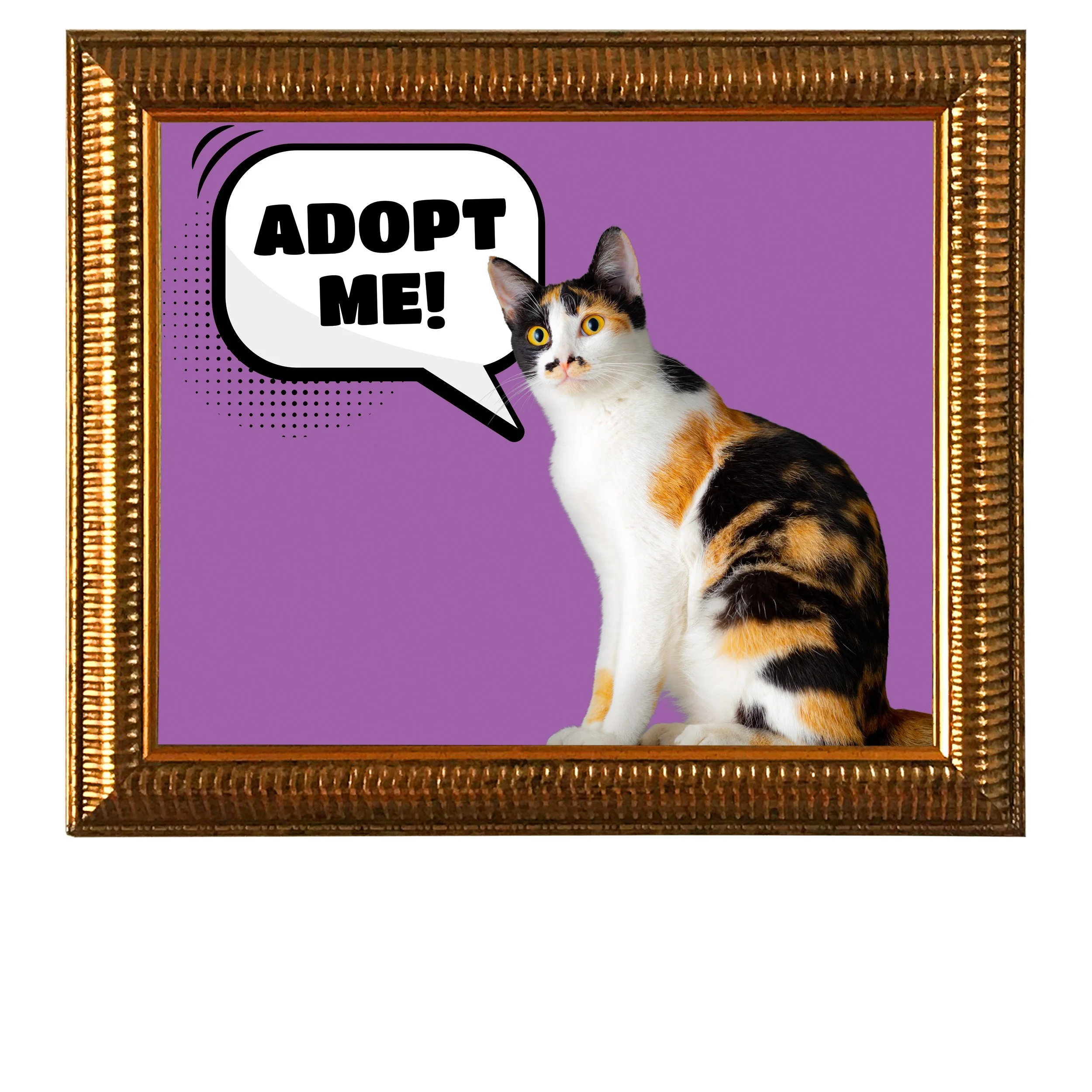 Adopt-Me-(Light-Purple)-CAT.jpg