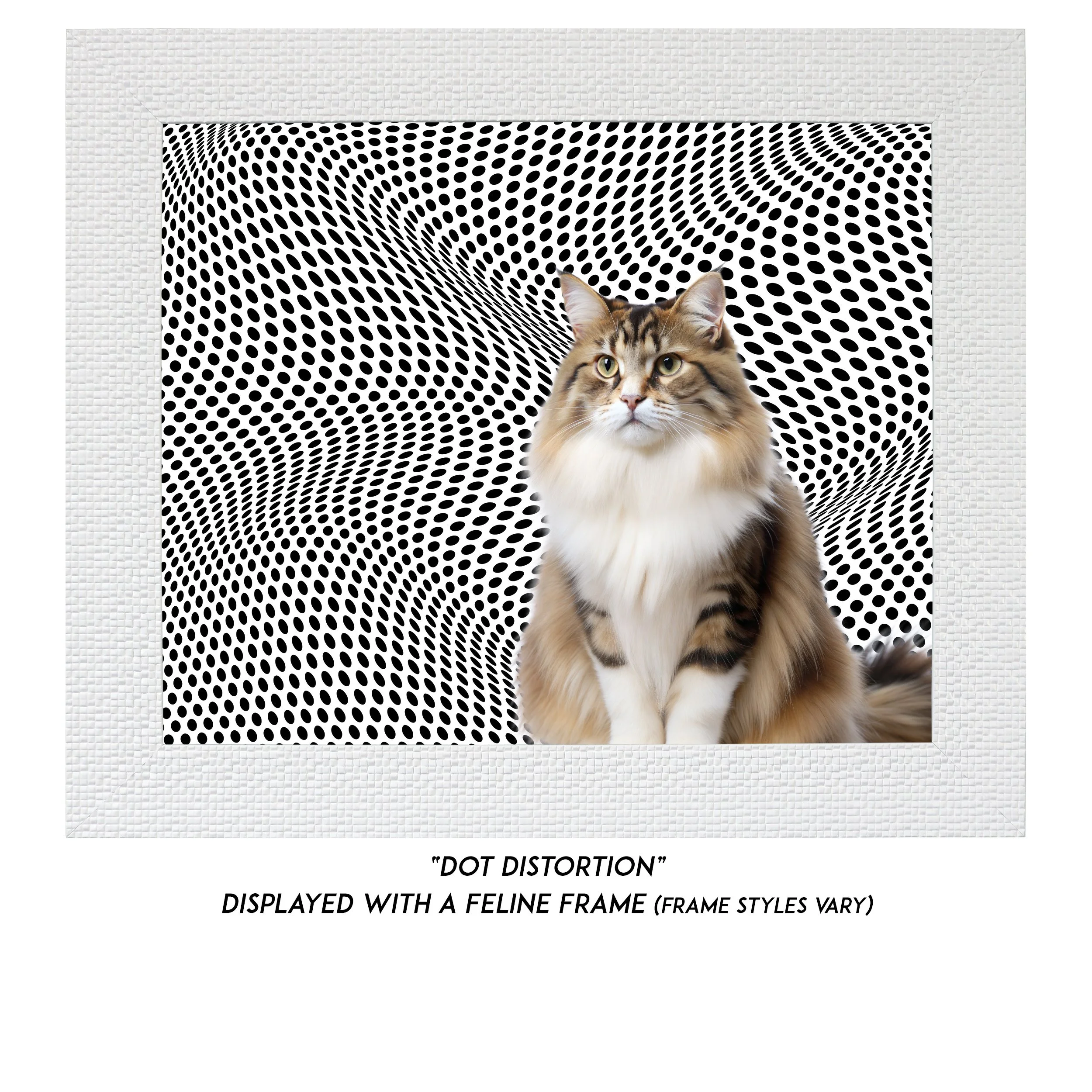 Dot-Distortion-CAT.jpg