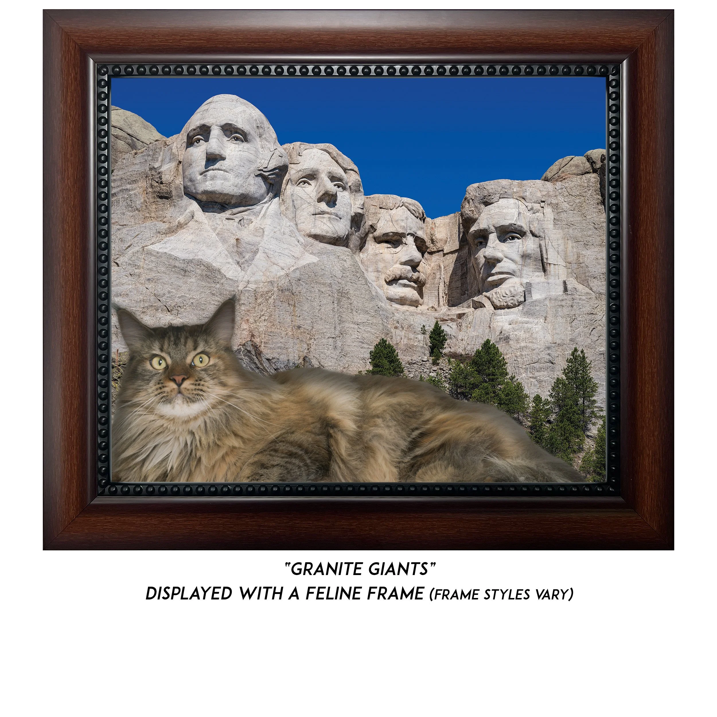 Granite-Giants-CAT.jpg