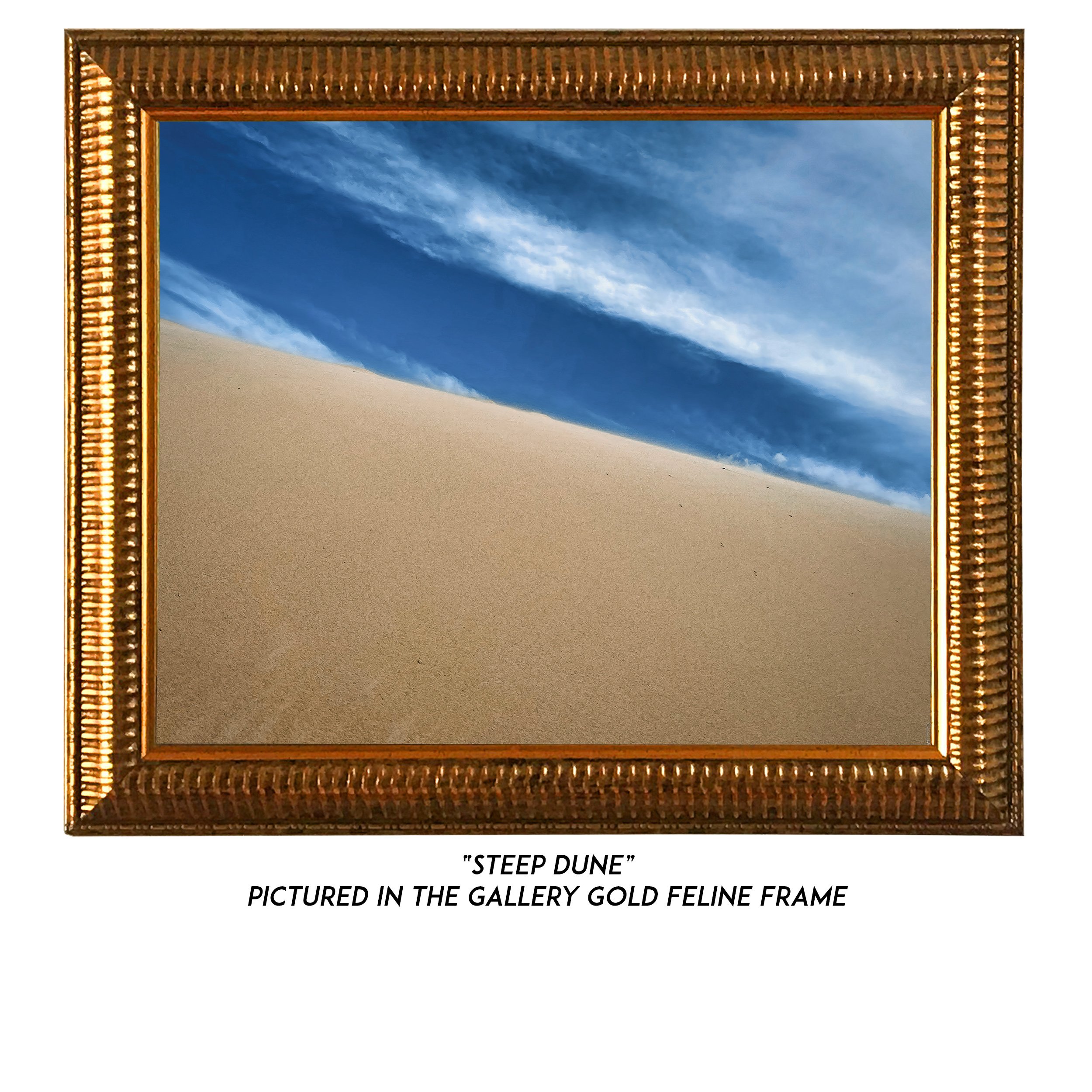 Steep-Dune-G.jpg