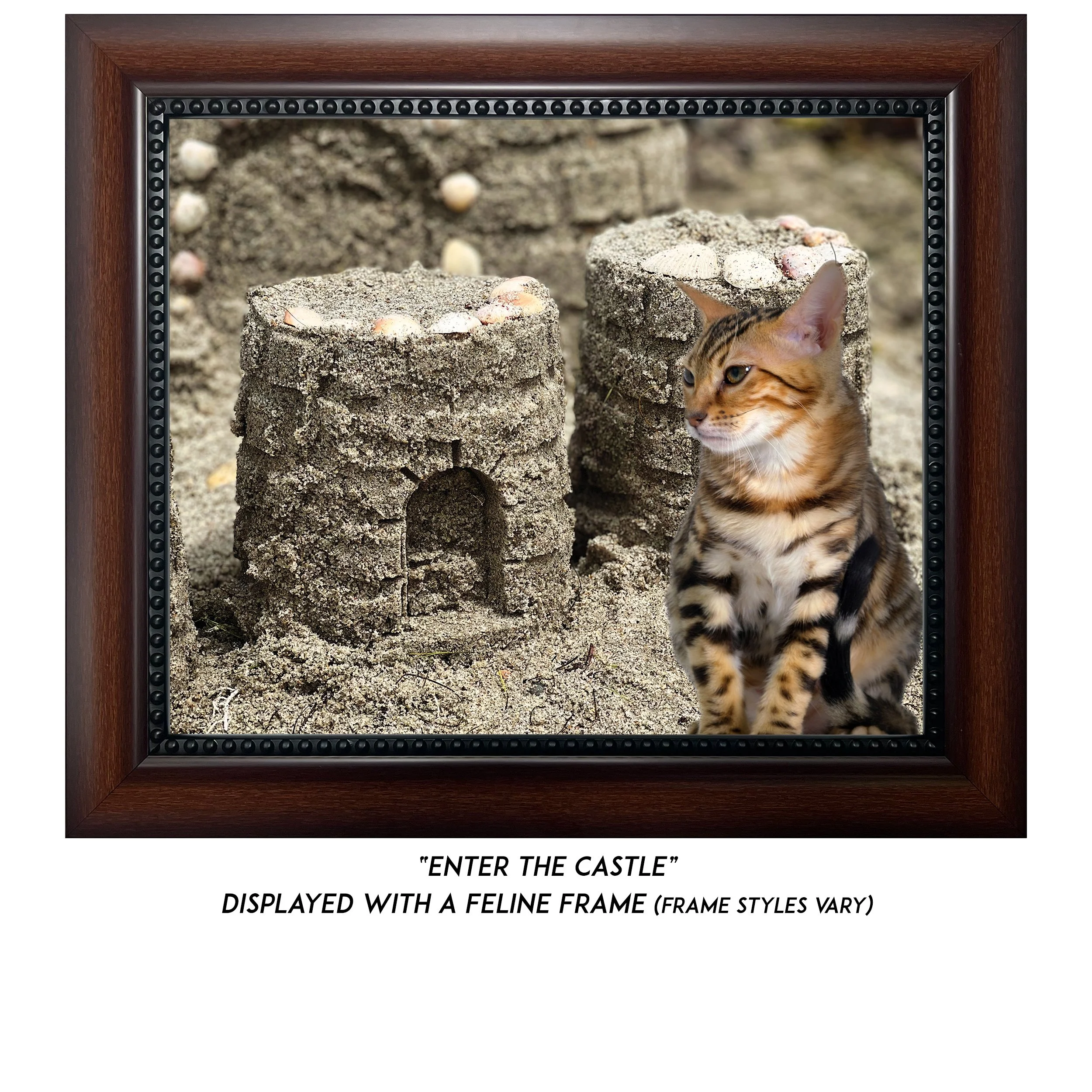 Enter-the-Castle-CAT.jpg