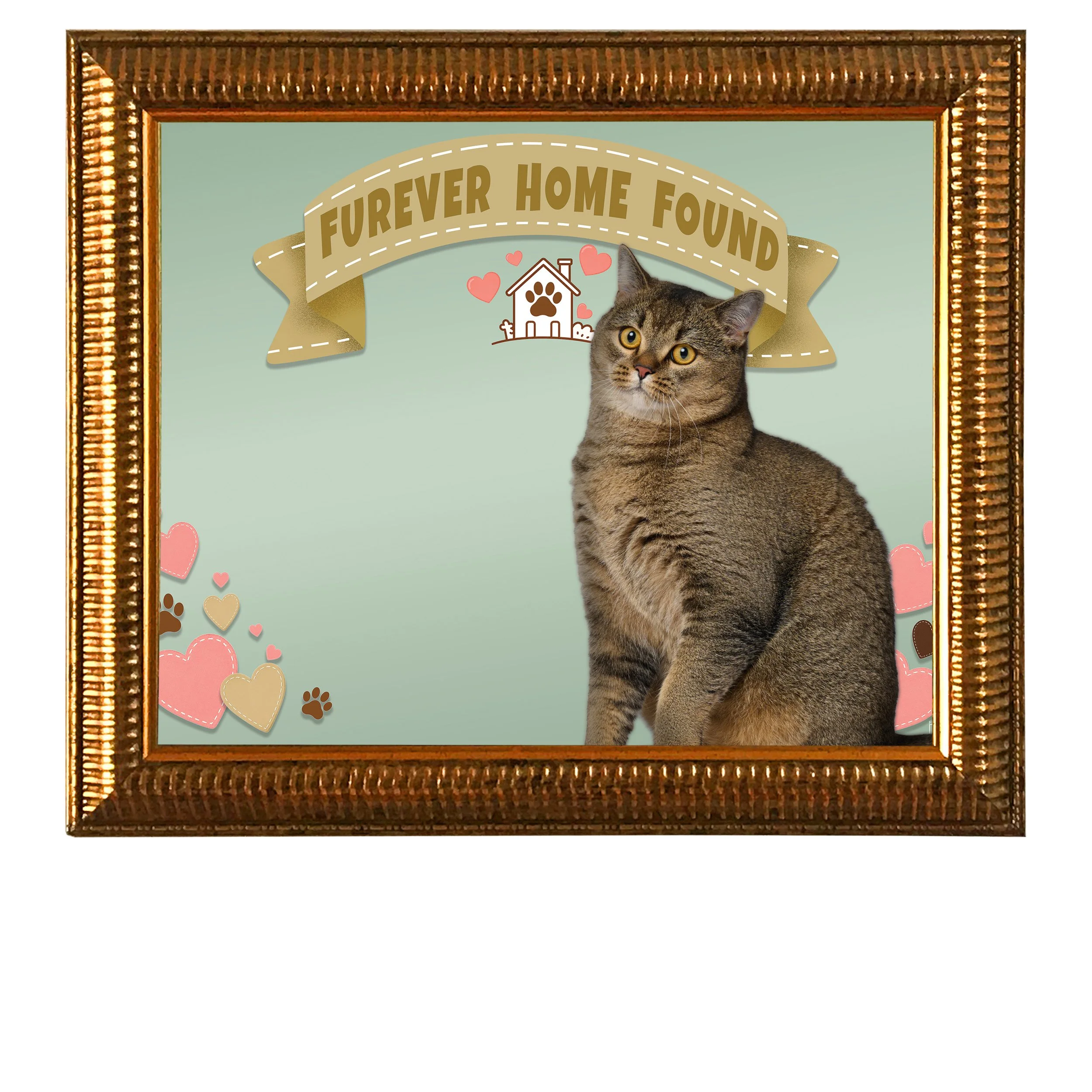 Furever-Home-Found-CAT.jpg