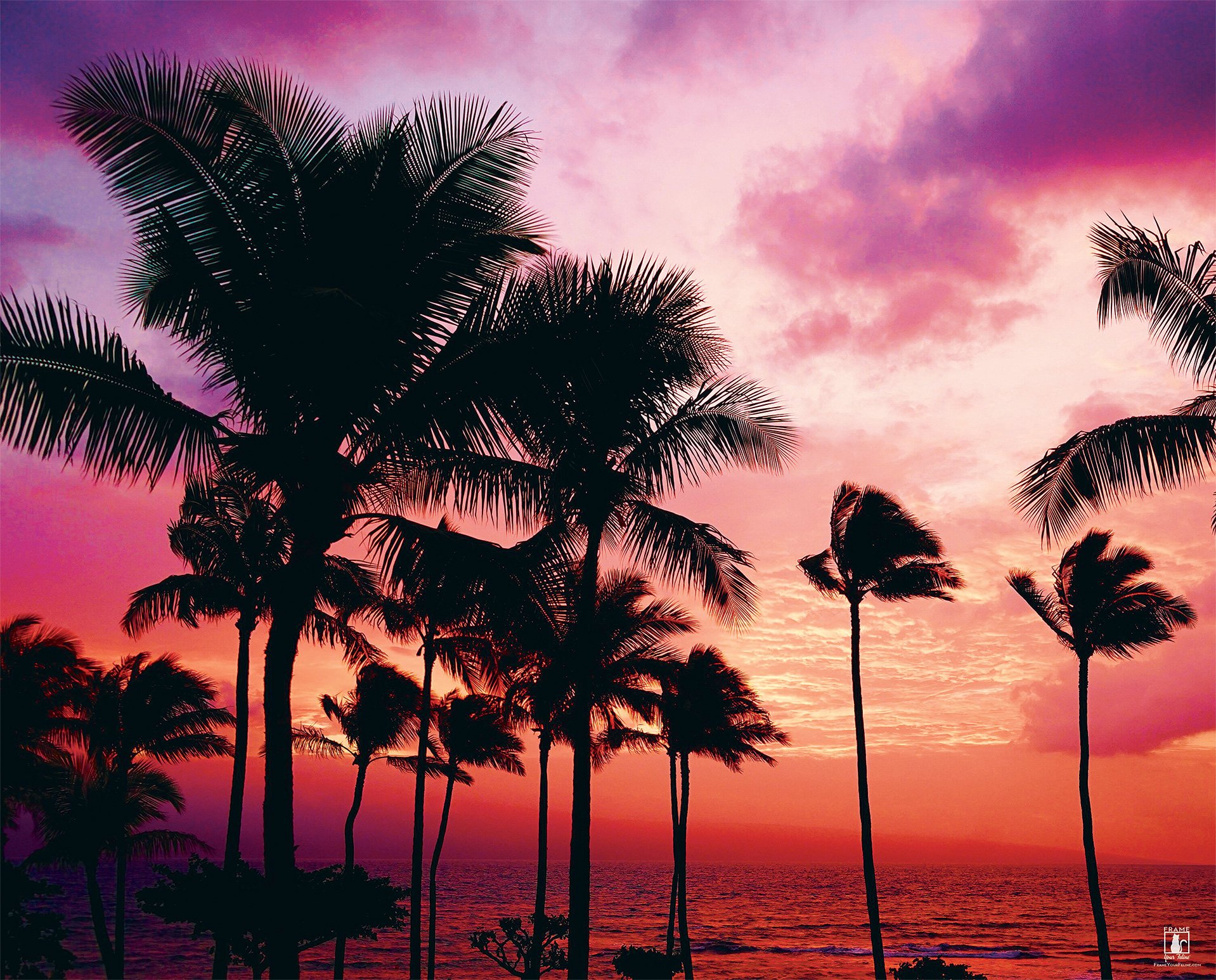 "Maui Twilight" | Photography by Ethan Robertson