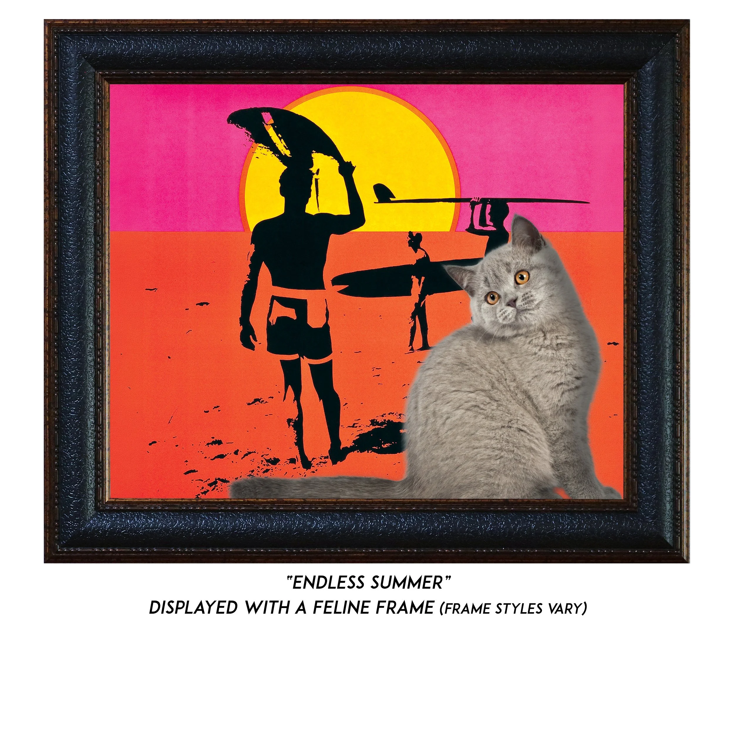 Endless-Summer-CAT.jpg