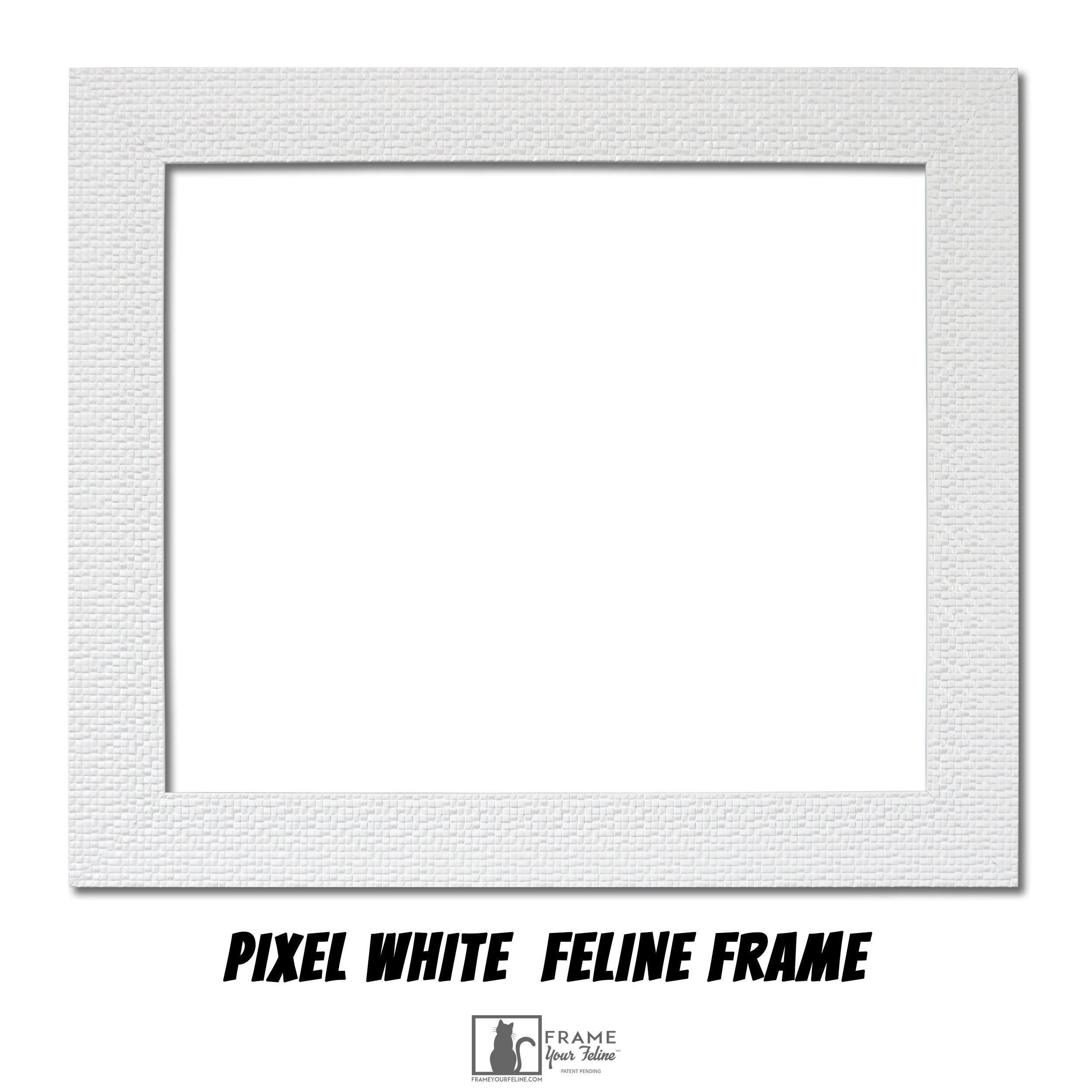 Pixel-White(2500x2500)-Feline-Frame.jpg