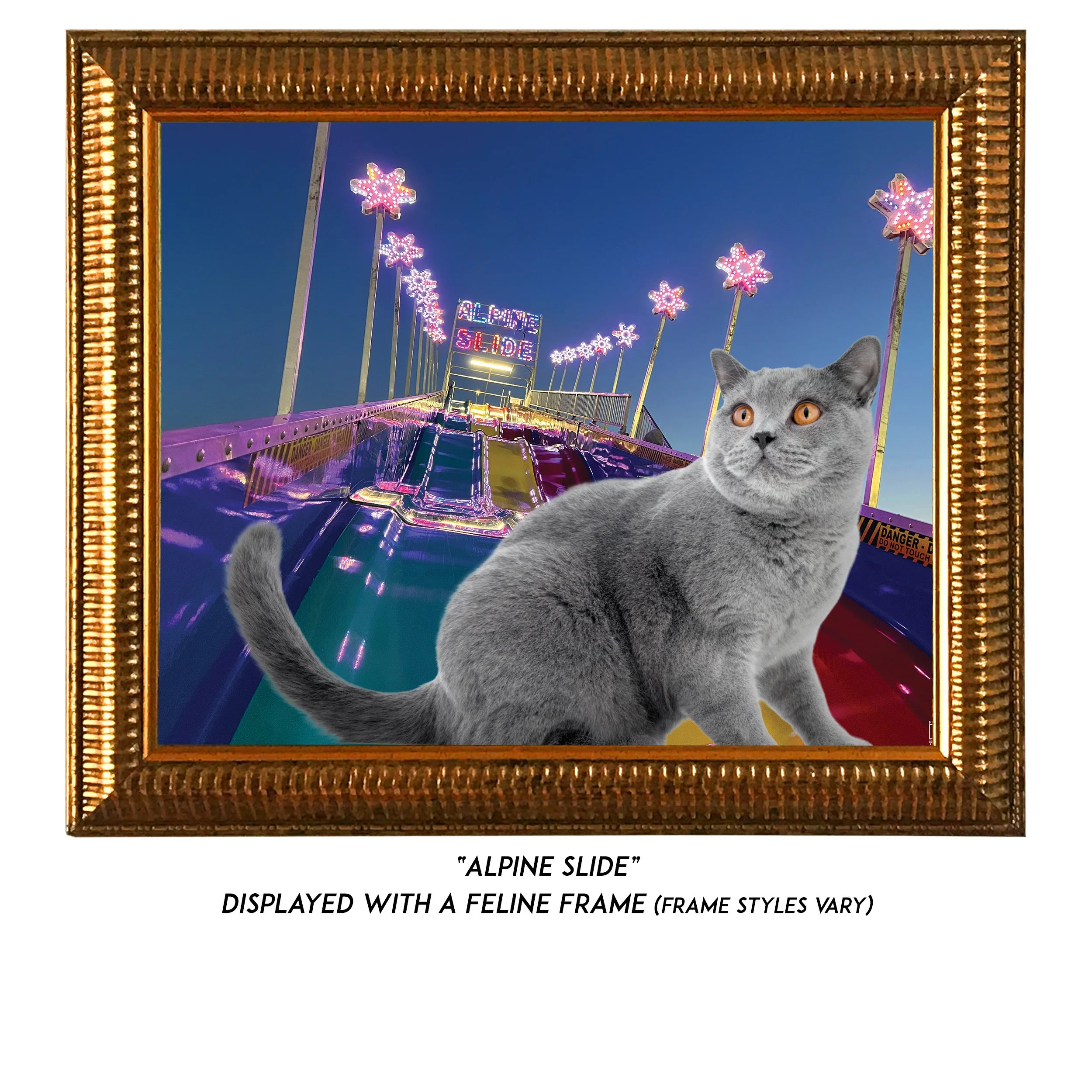 Alpine-Slide-CAT.jpg