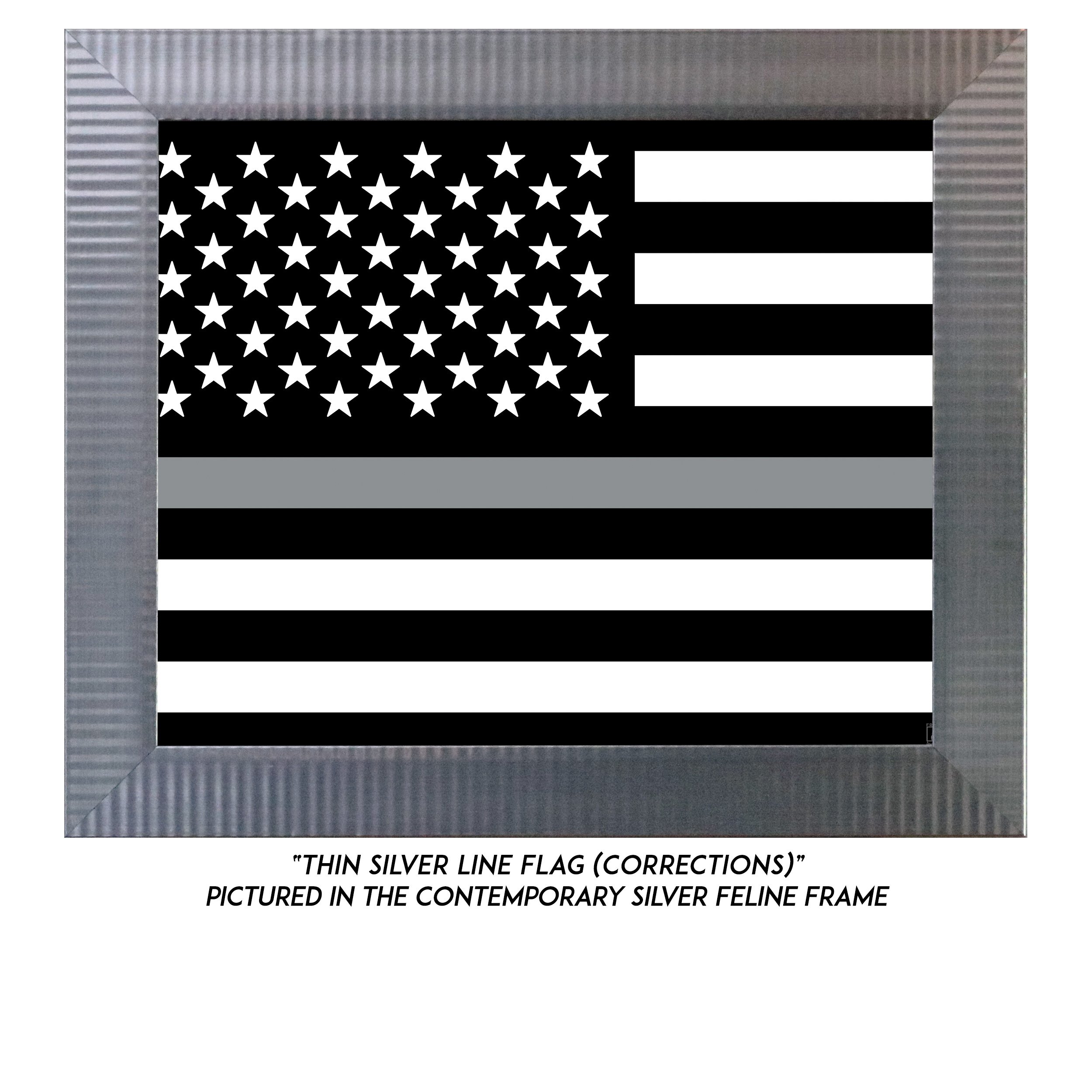 Thin-Silver-Line-Flag-S.jpg