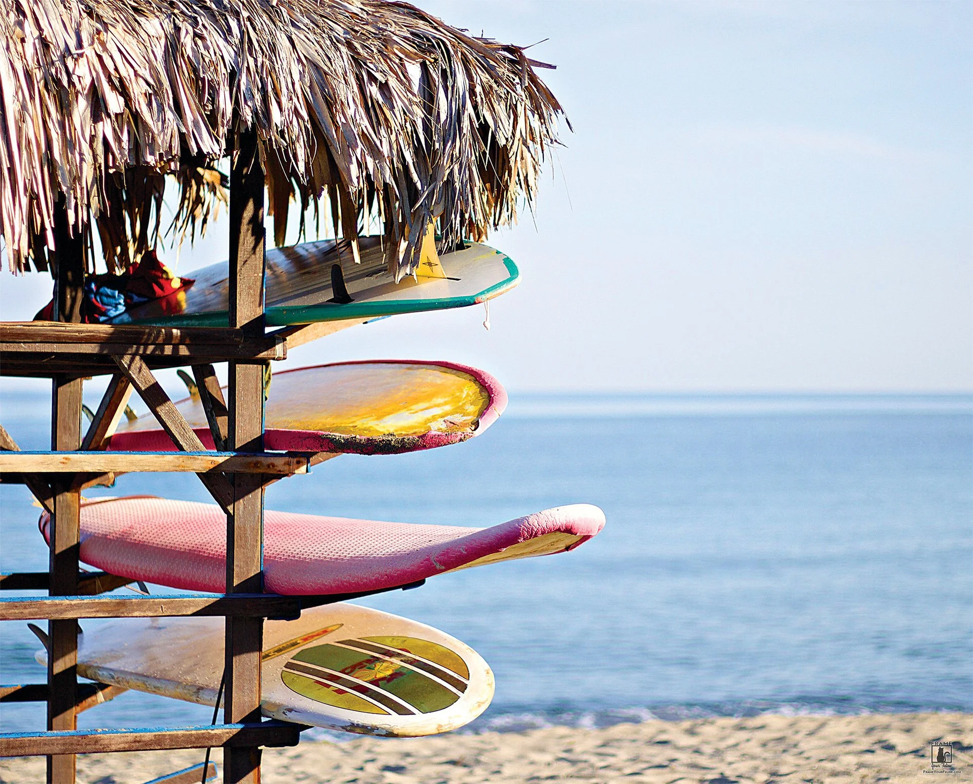 "Board Meeting" | Photography by Joey Pilgrim