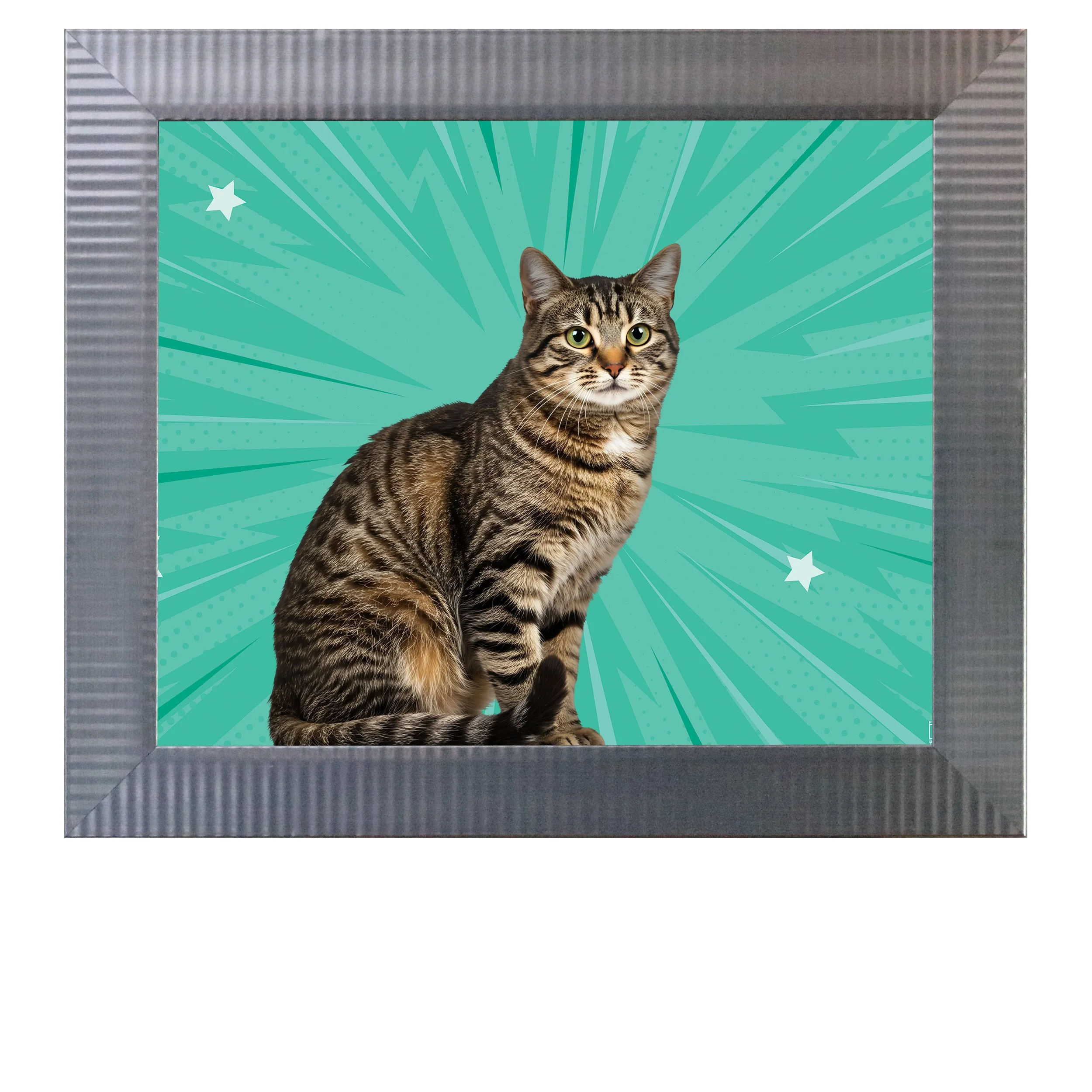 Mint-Lightning-CAT.jpg
