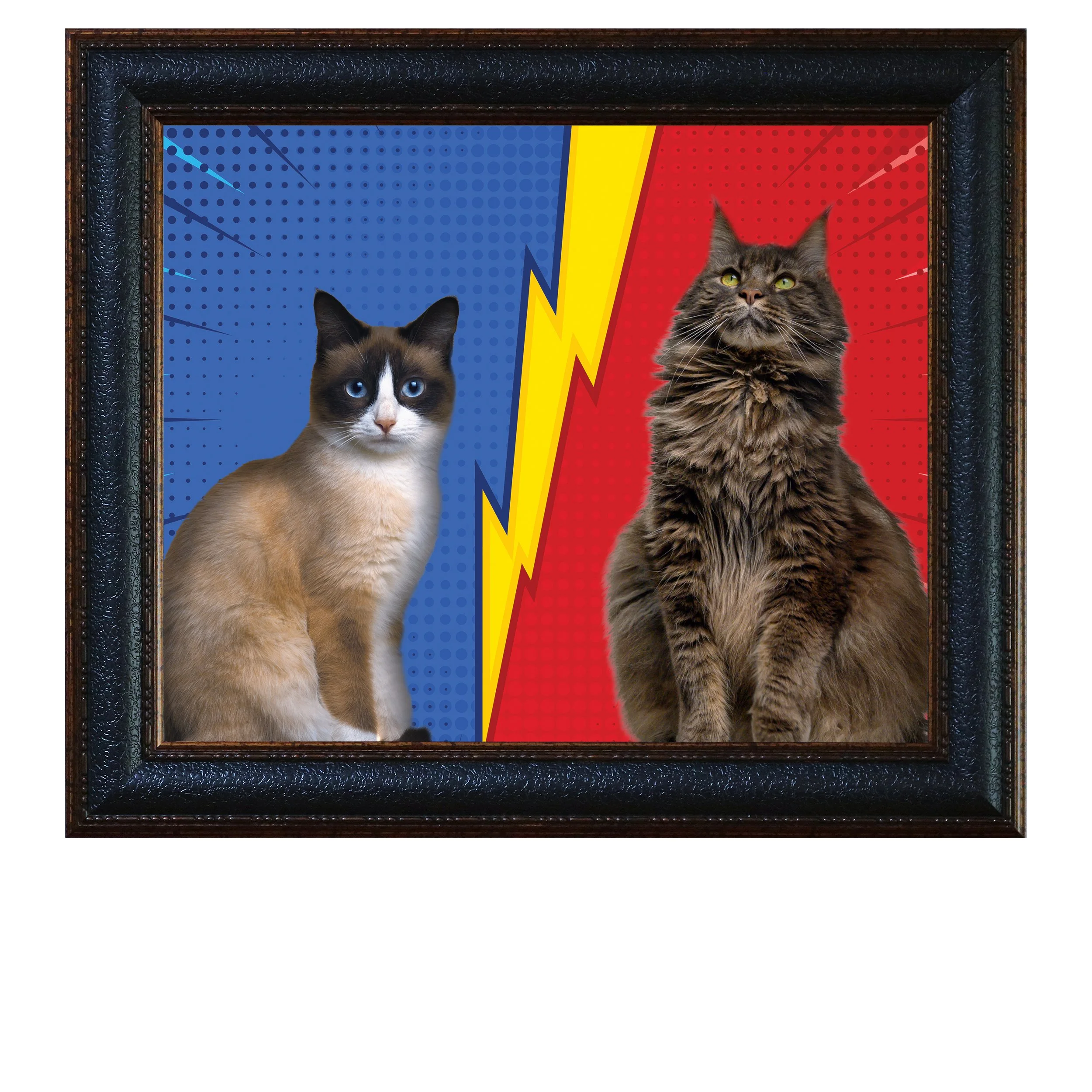 Clash-of-the-Cats-CAT2.jpg