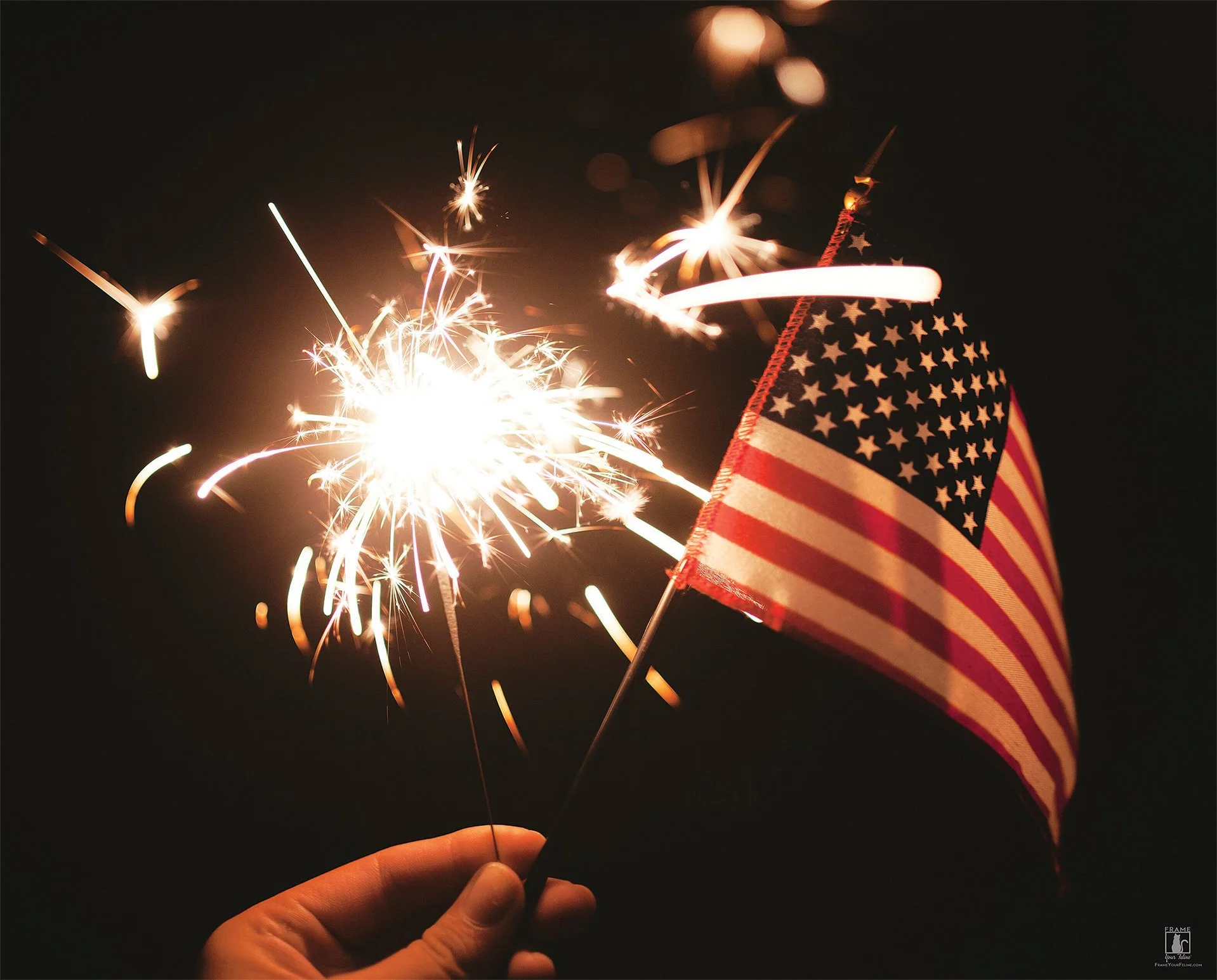 "Sparkler Salute" | Photography by Stephanie McCabe
