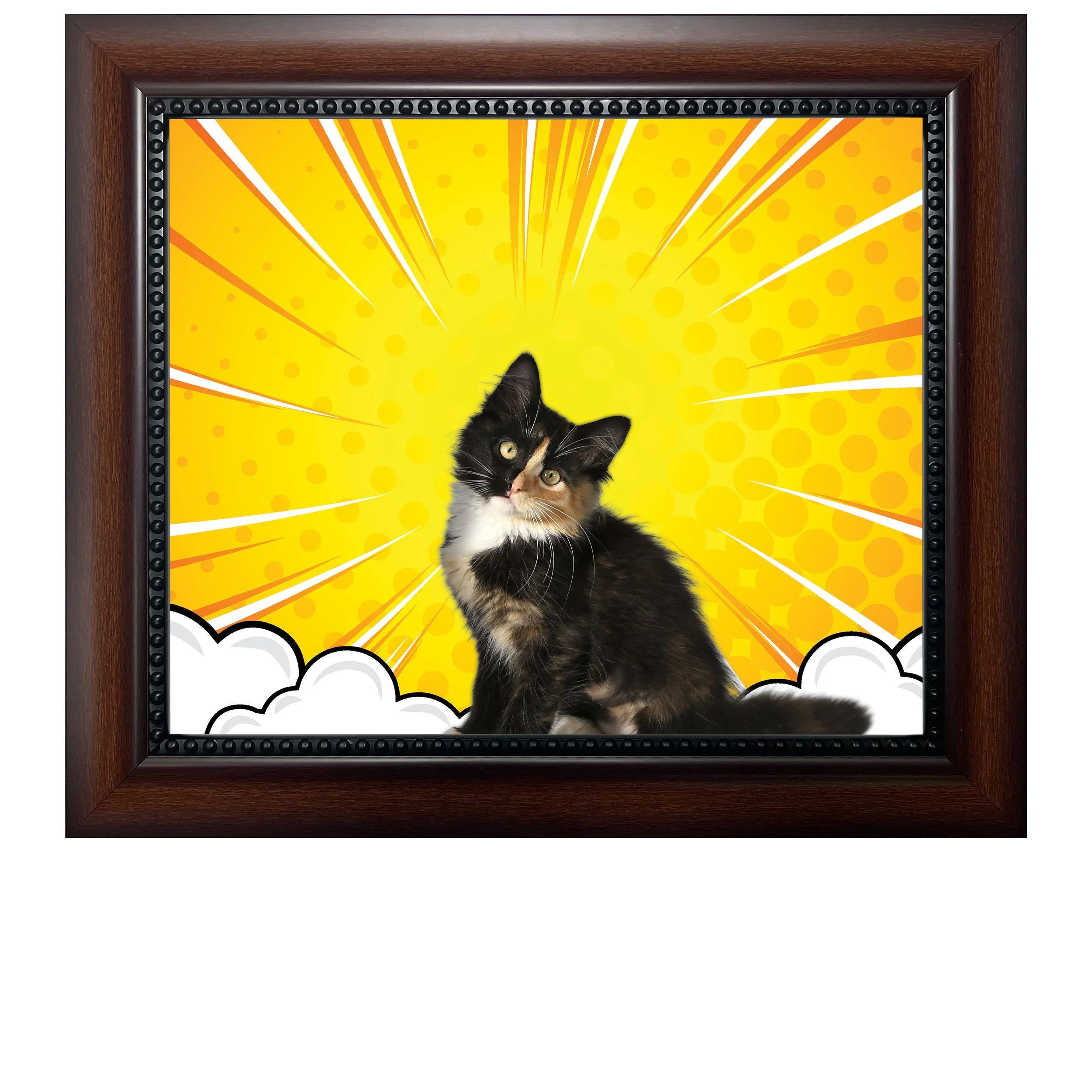 Cloud-Zoom-CAT.jpg