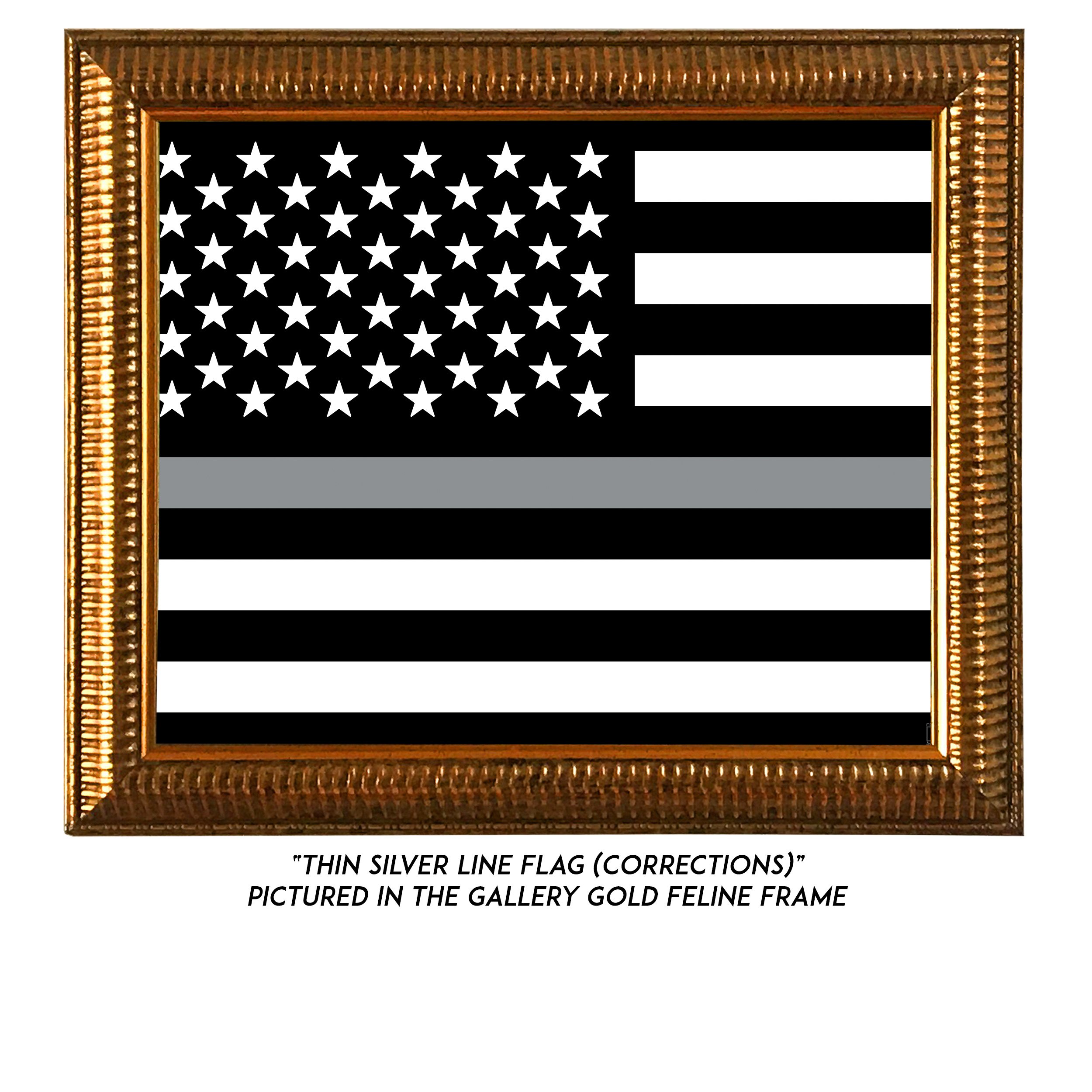 Thin-Silver-Line-Flag-G.jpg