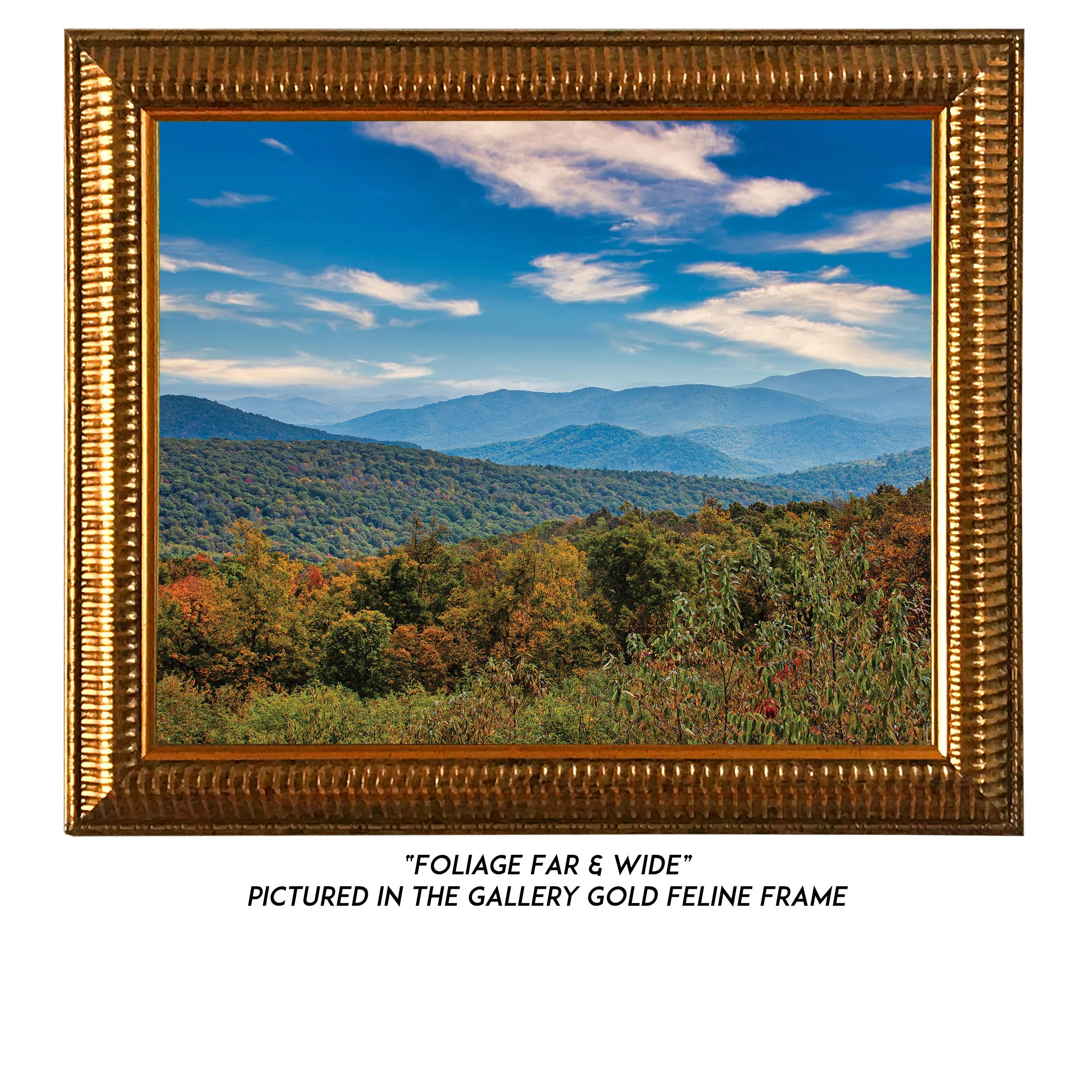 Foliage-Far-Wide-G.jpg
