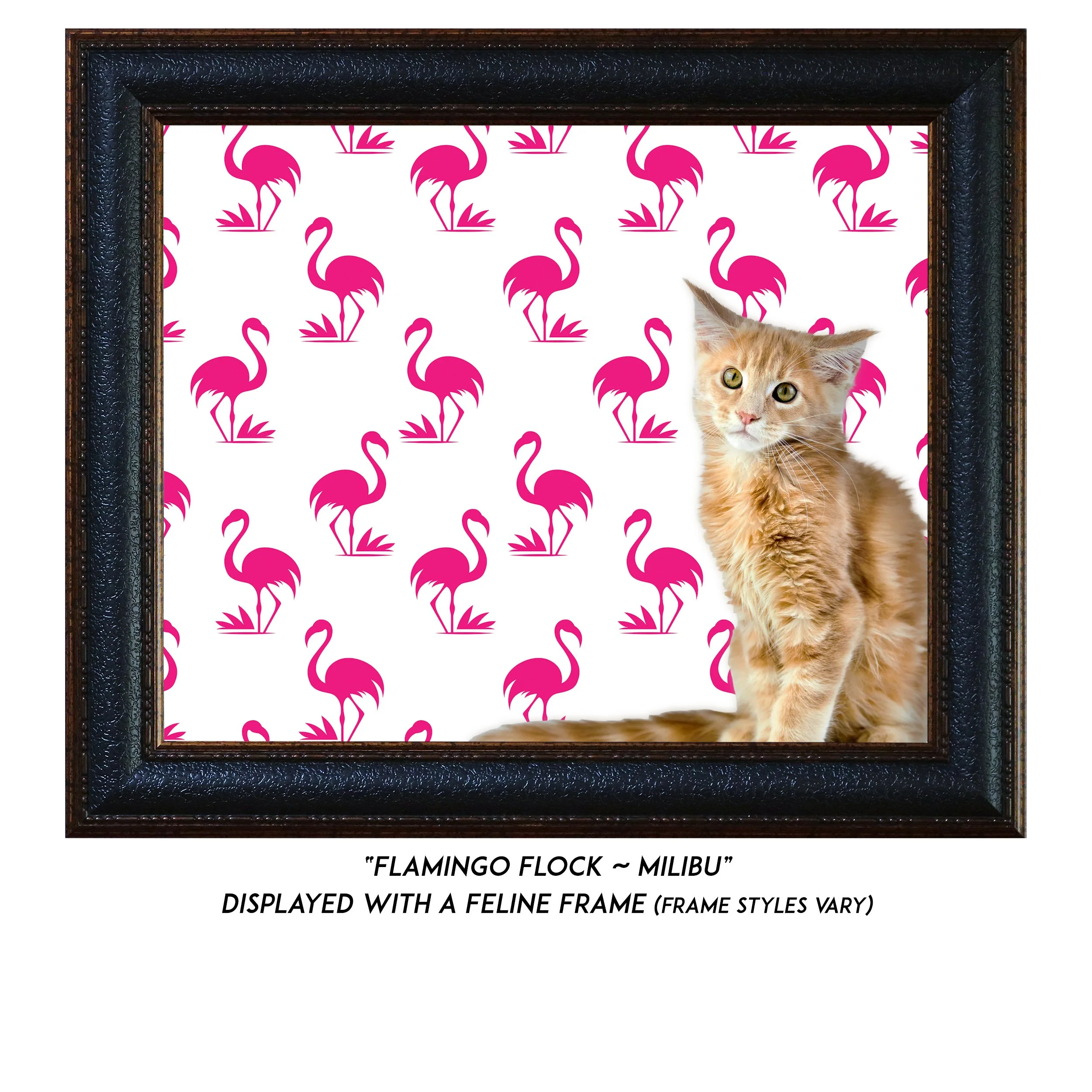Flamingo-Flock-Malibu-CAT.jpg