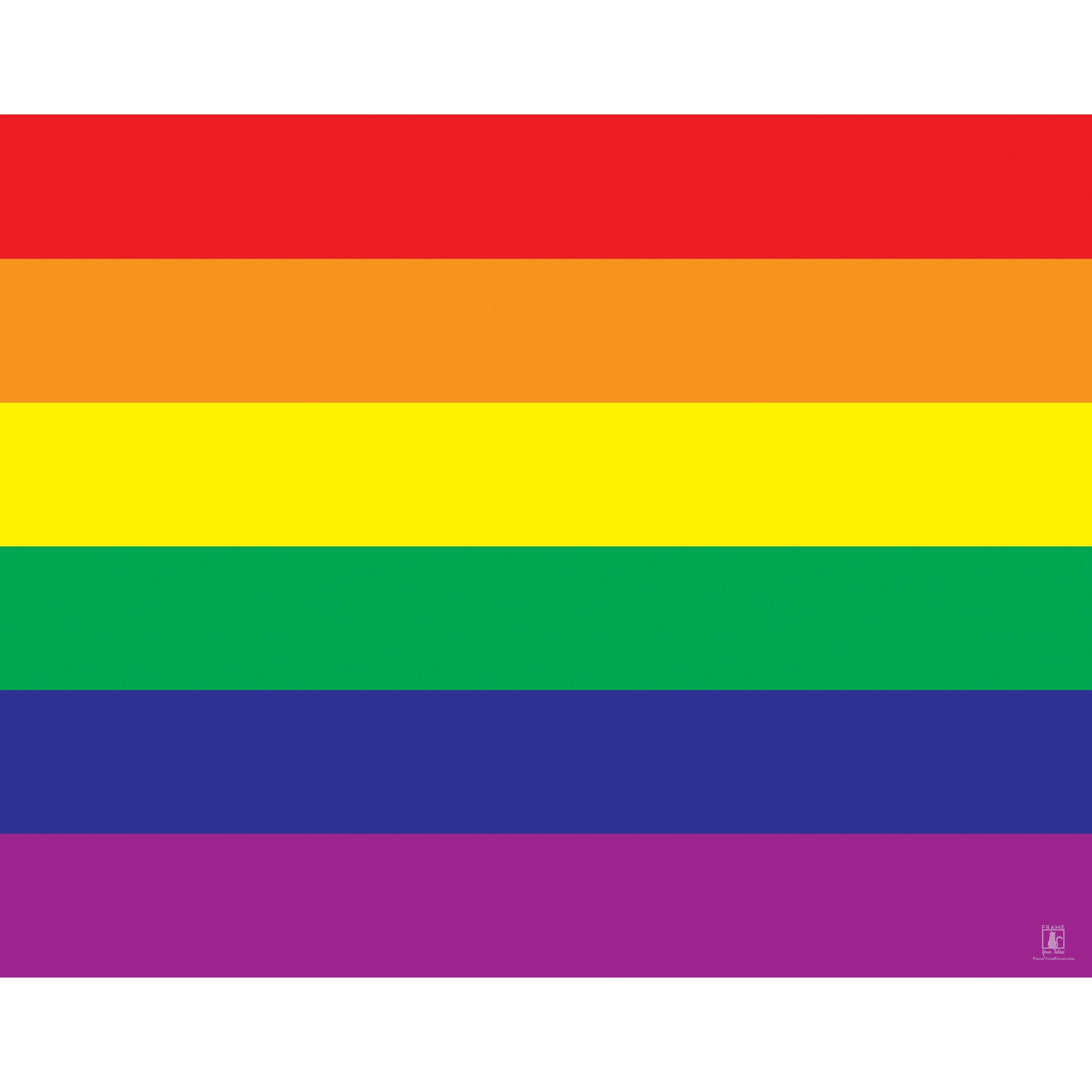 "LGBTQ Pride Flag"