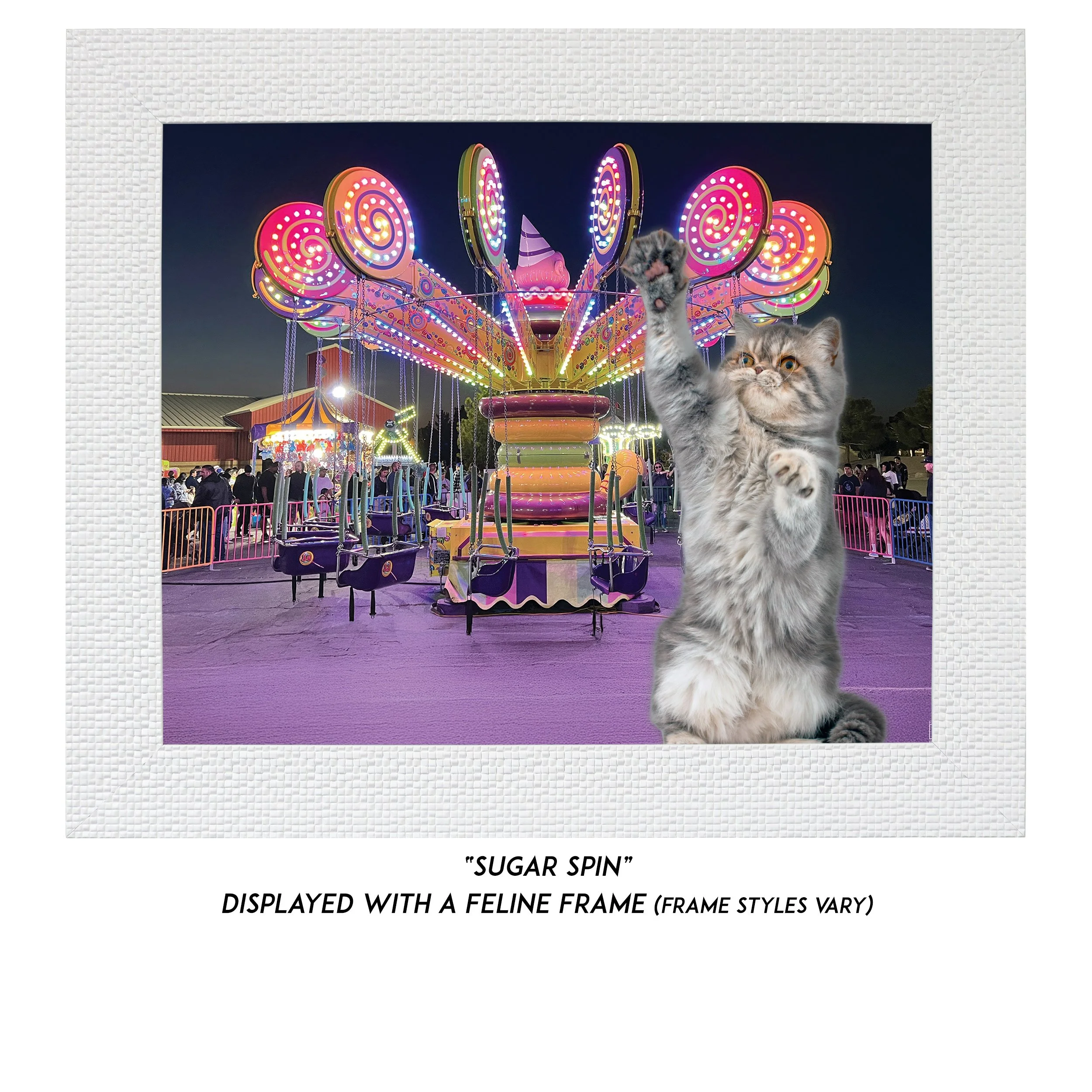 Sugar-Spin-CAT.jpg