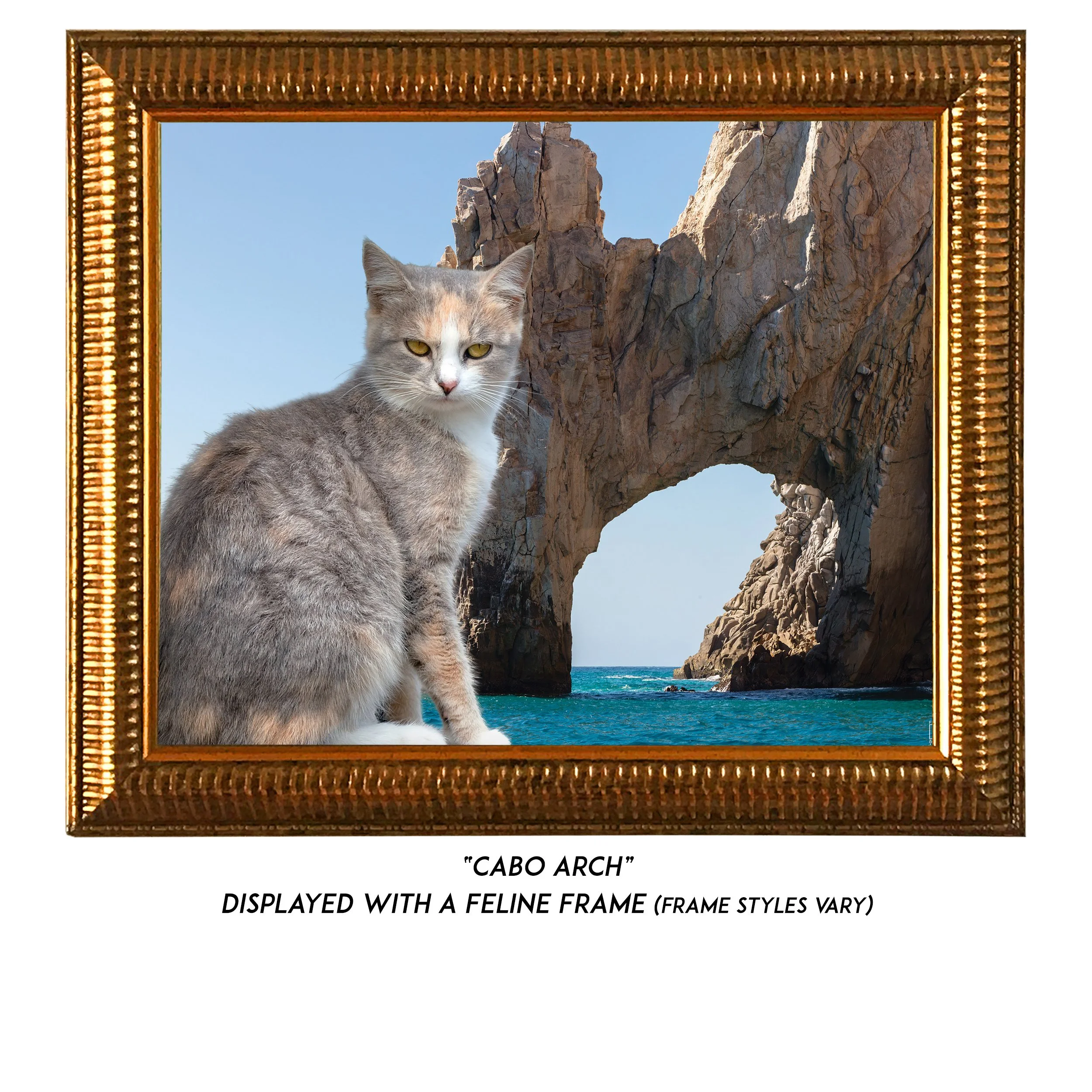 Cabo-Arch-CAT.jpg