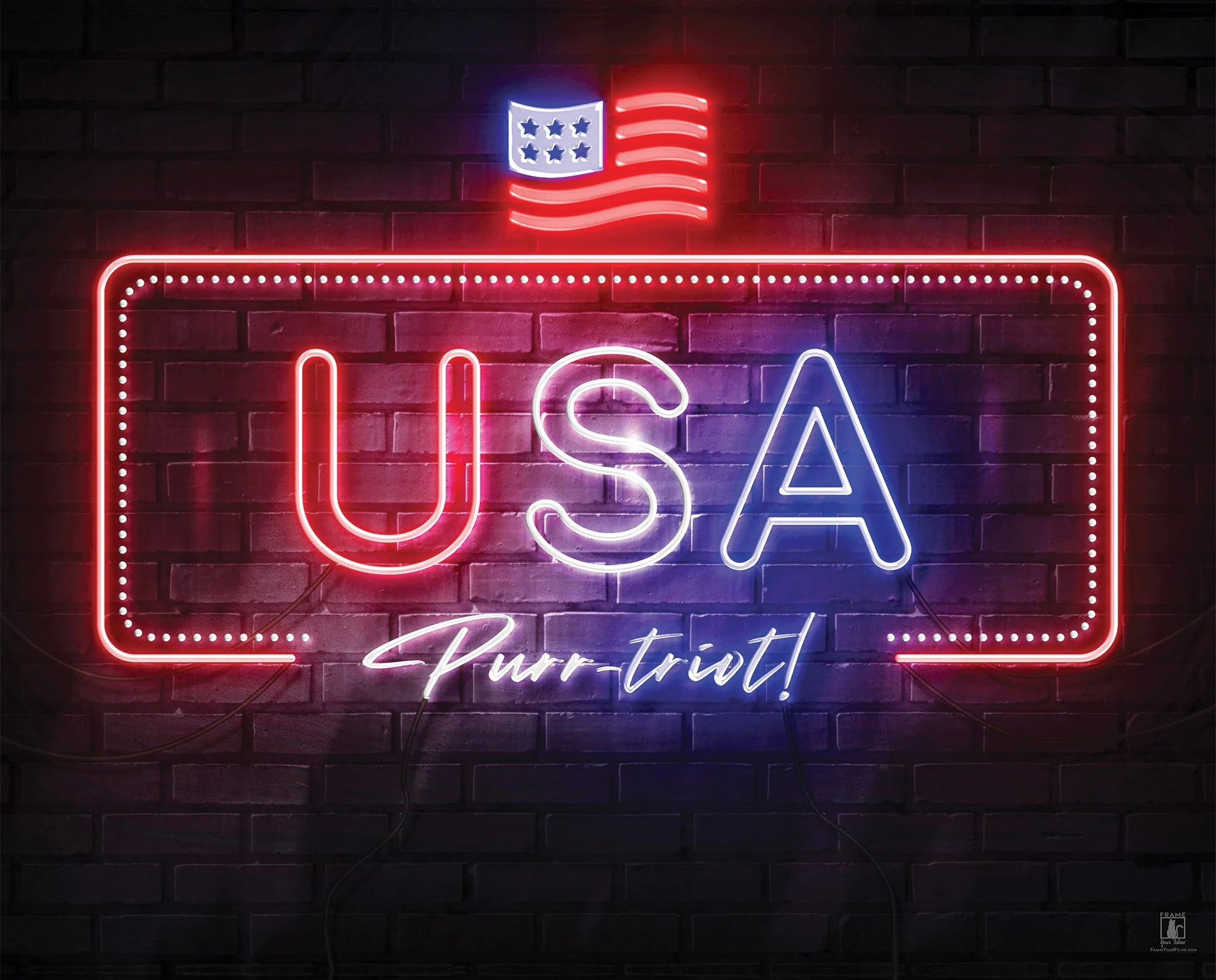 “USA Purr-triot” | By Brian Vermeire