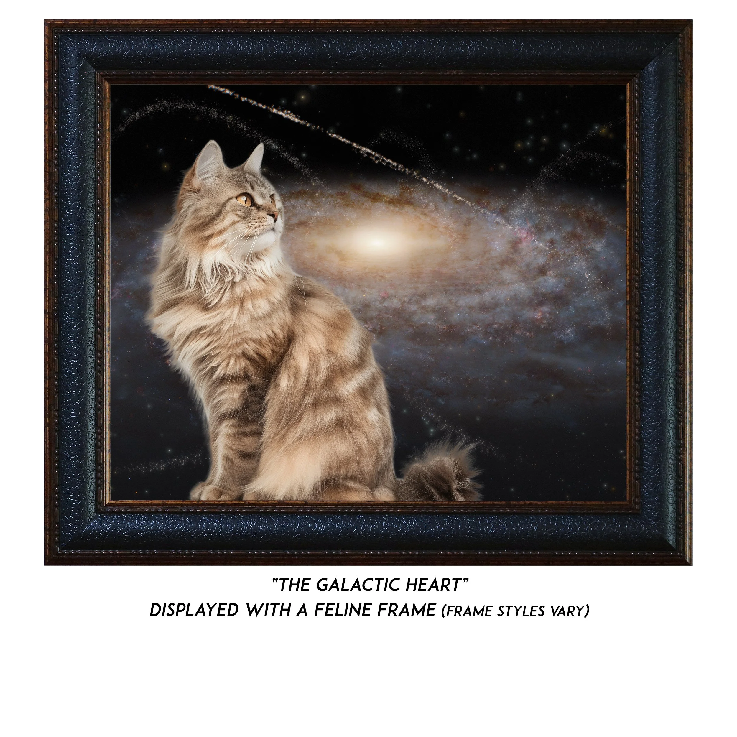 The-Galactic-Heart-CAT.jpg