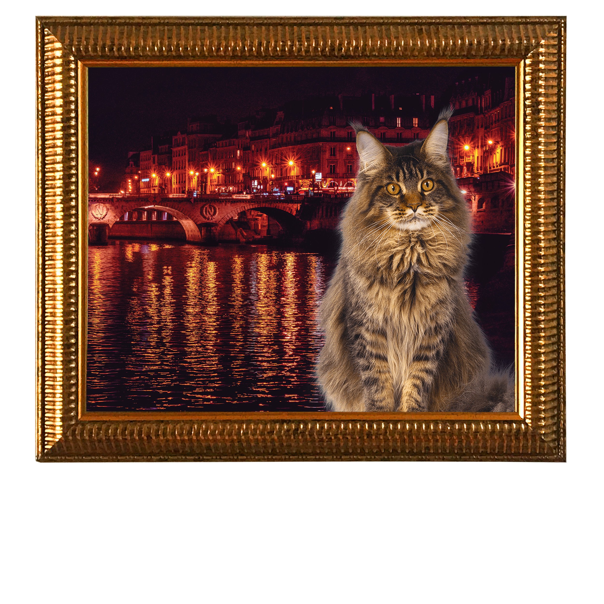 Night-Bridge-CAT.jpg