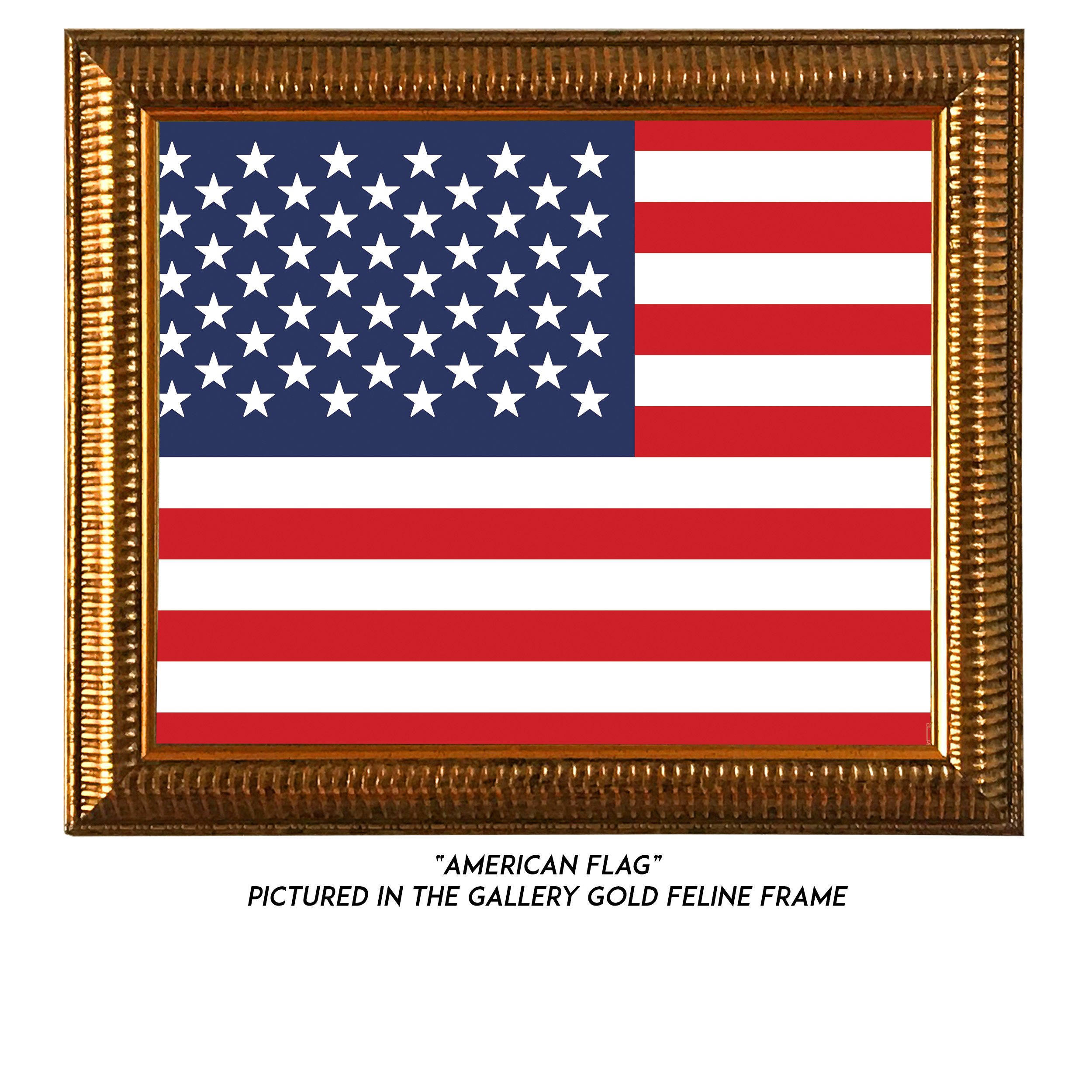American-Flag-G.jpg
