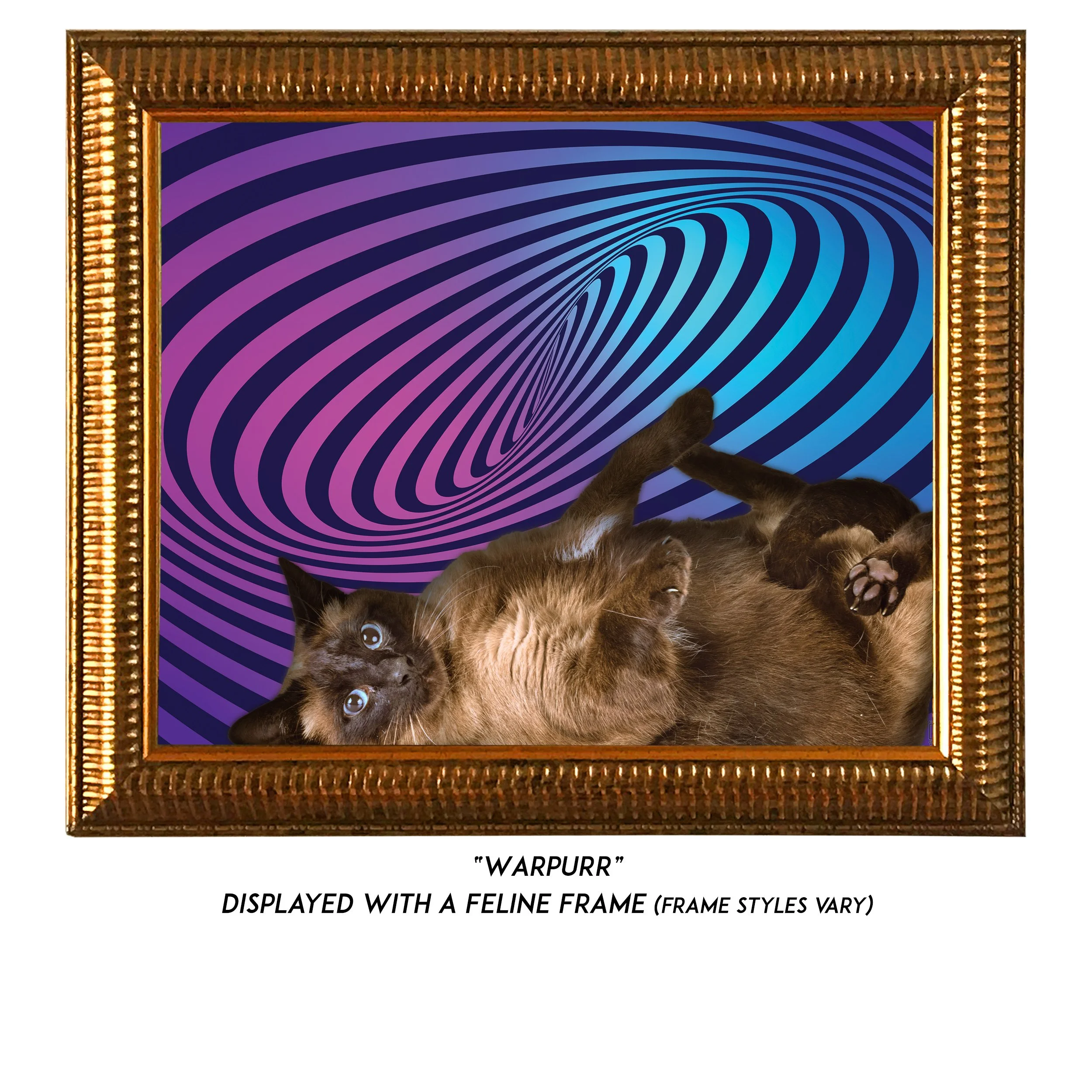 Warpurr-CAT.jpg