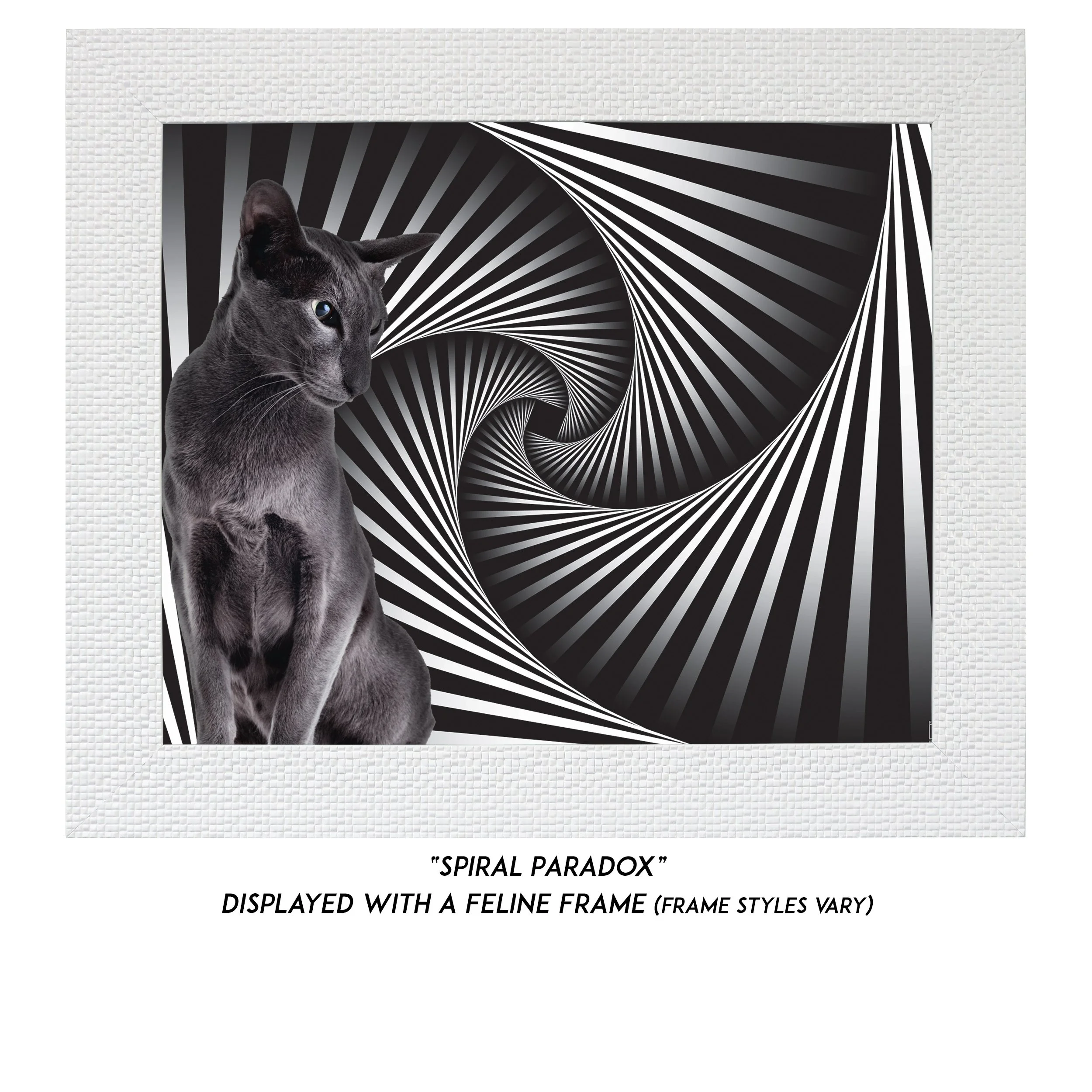 Spiral-Paradox-CAT.jpg
