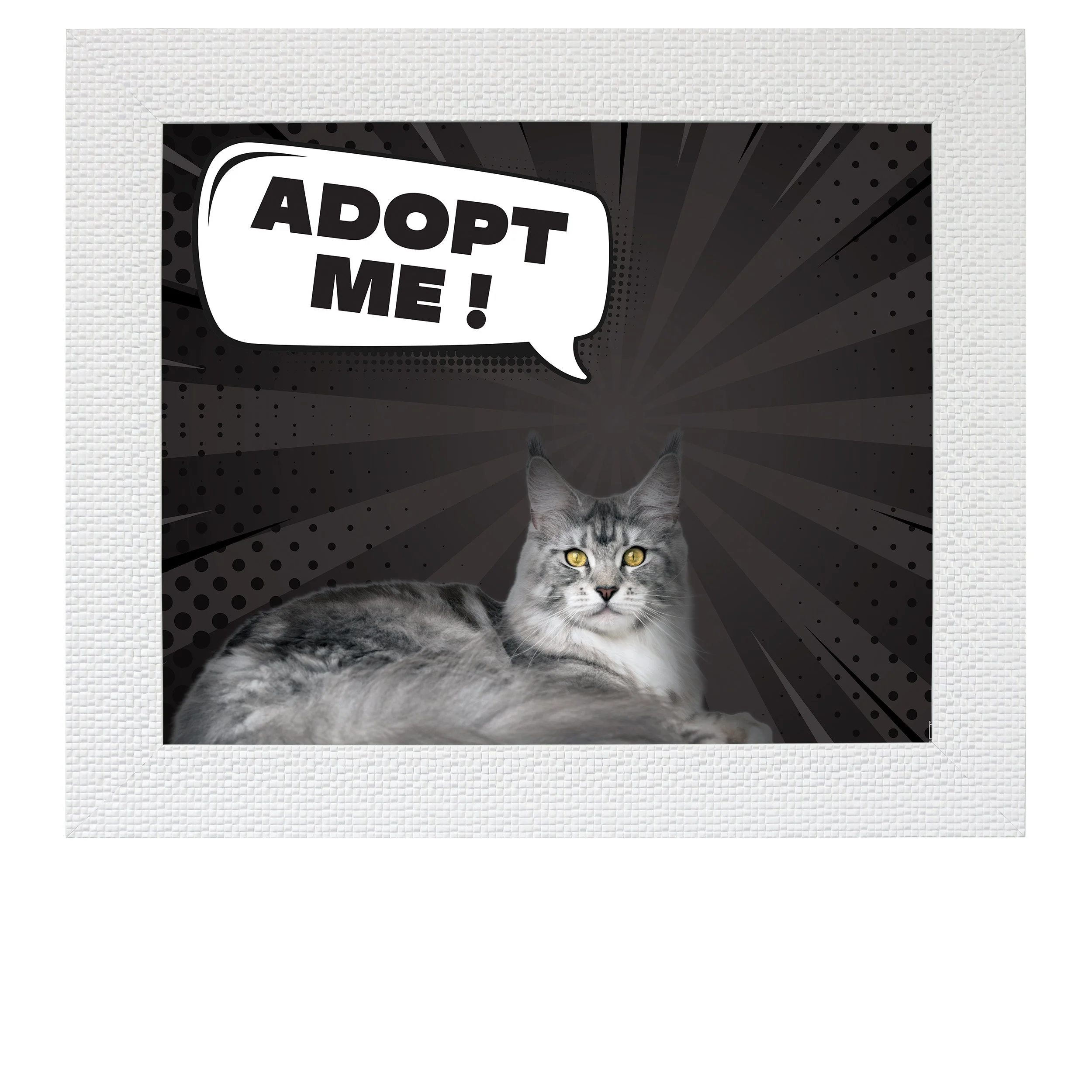 Adopt-Me-(Comic-Burst)-CAT.jpg