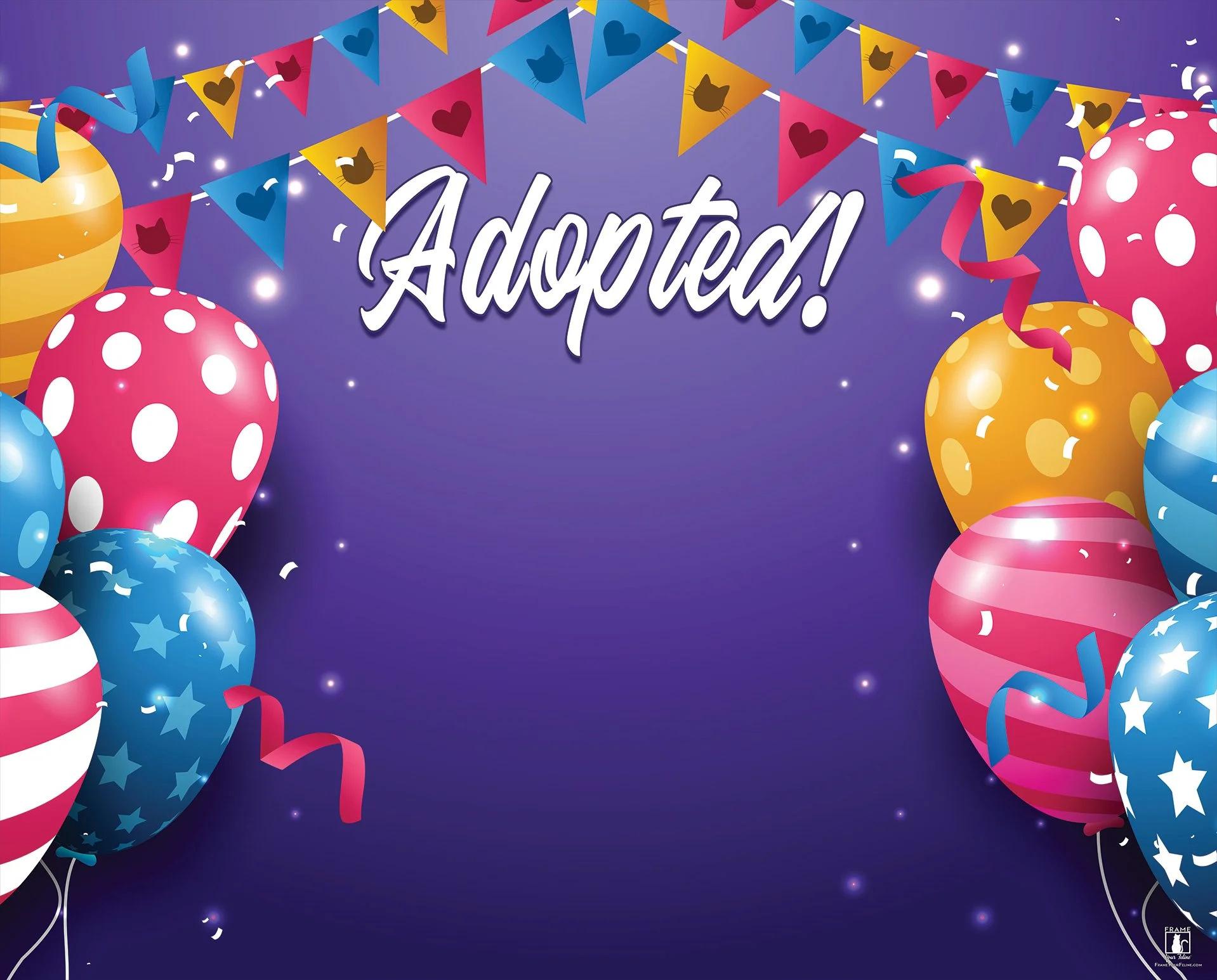 Adopted-(Balloon-Party)-T.jpg