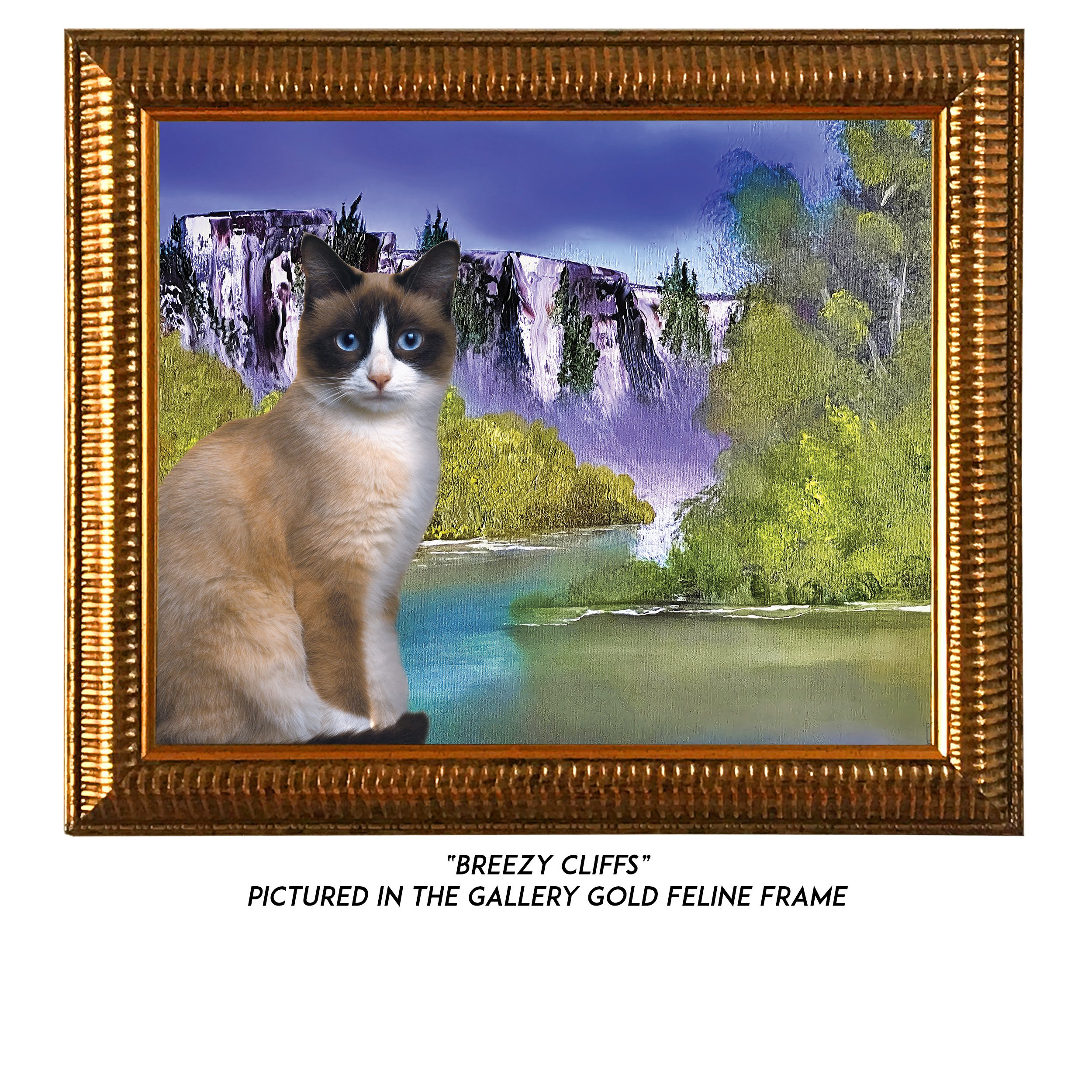 Breezy-Cliffs-CAT.jpg