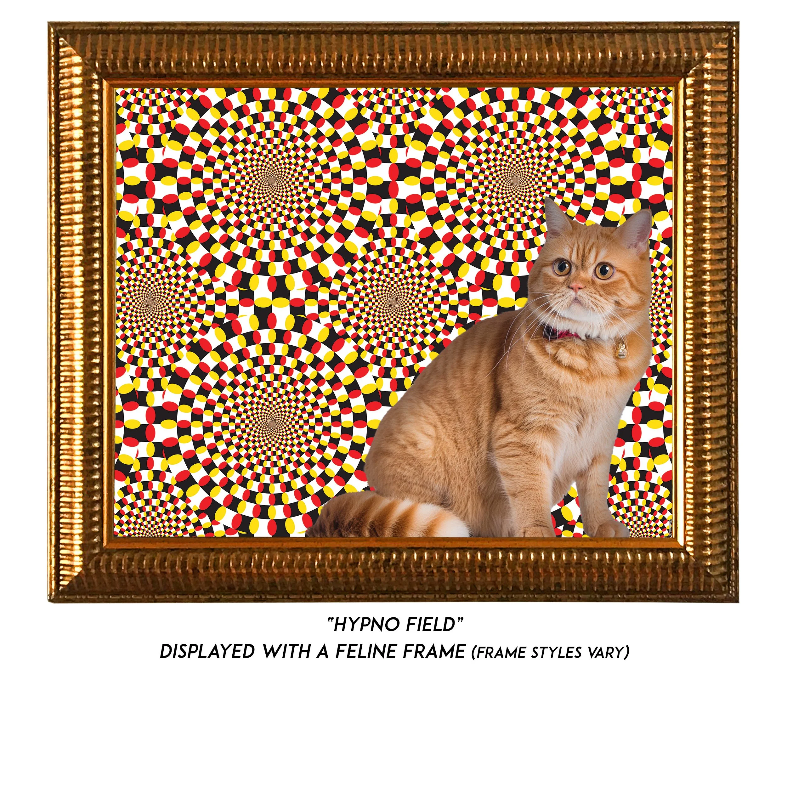 Hypno-Field-CAT.jpg