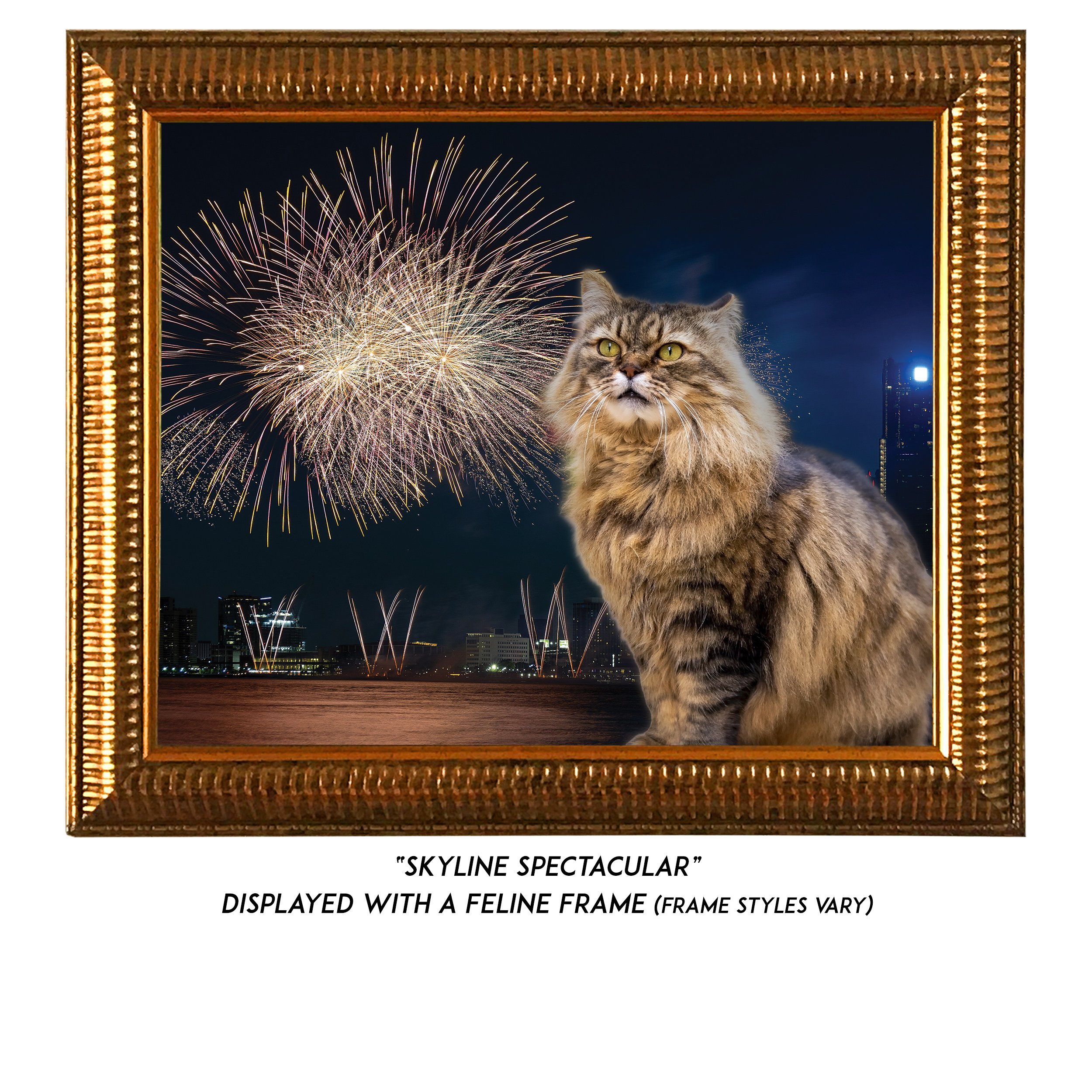 Skyline-Spectacular-CAT.jpg