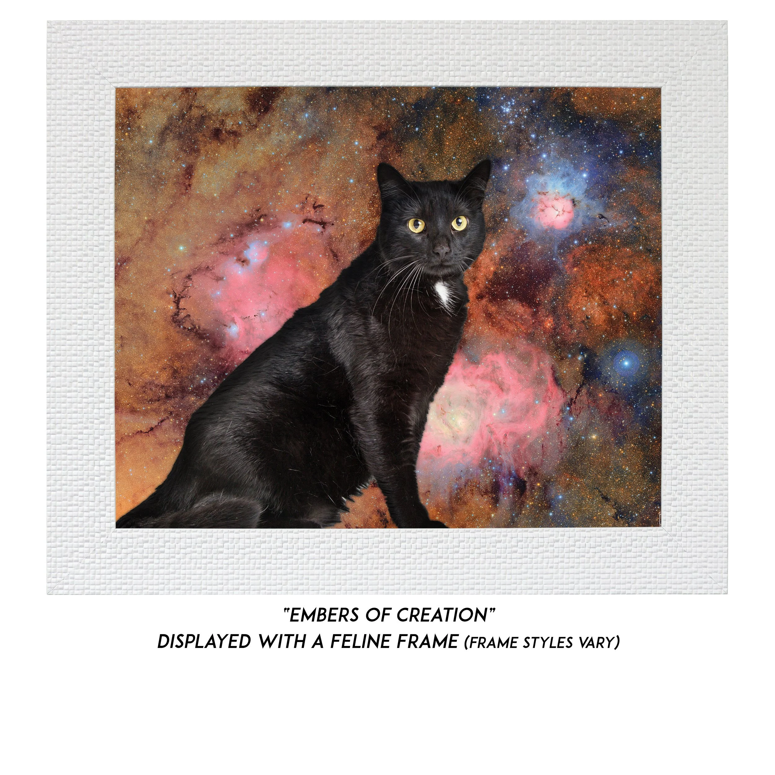 Embers-of-Creation-CAT.jpg