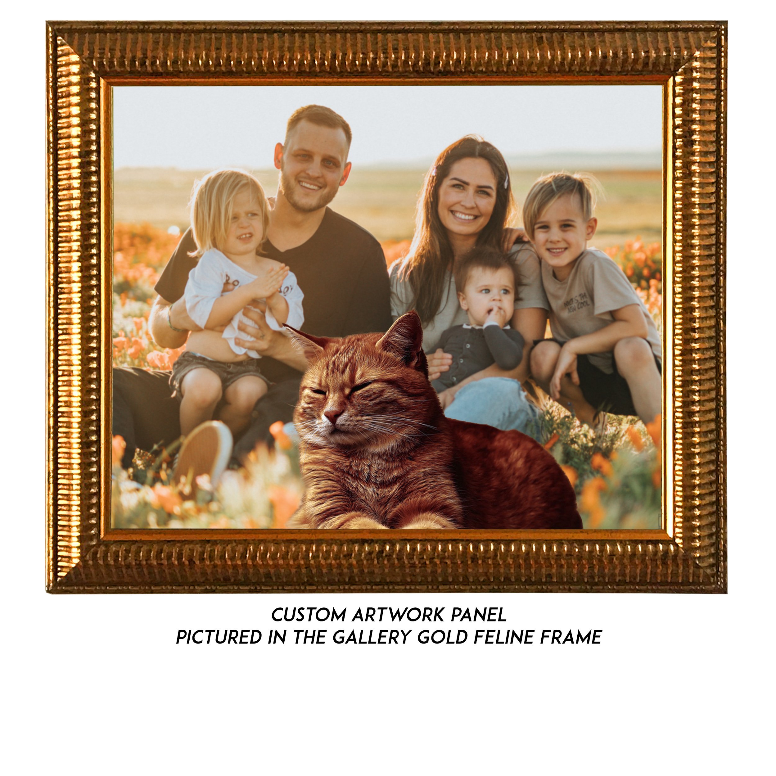 Custom-Family-2-Cat.jpg