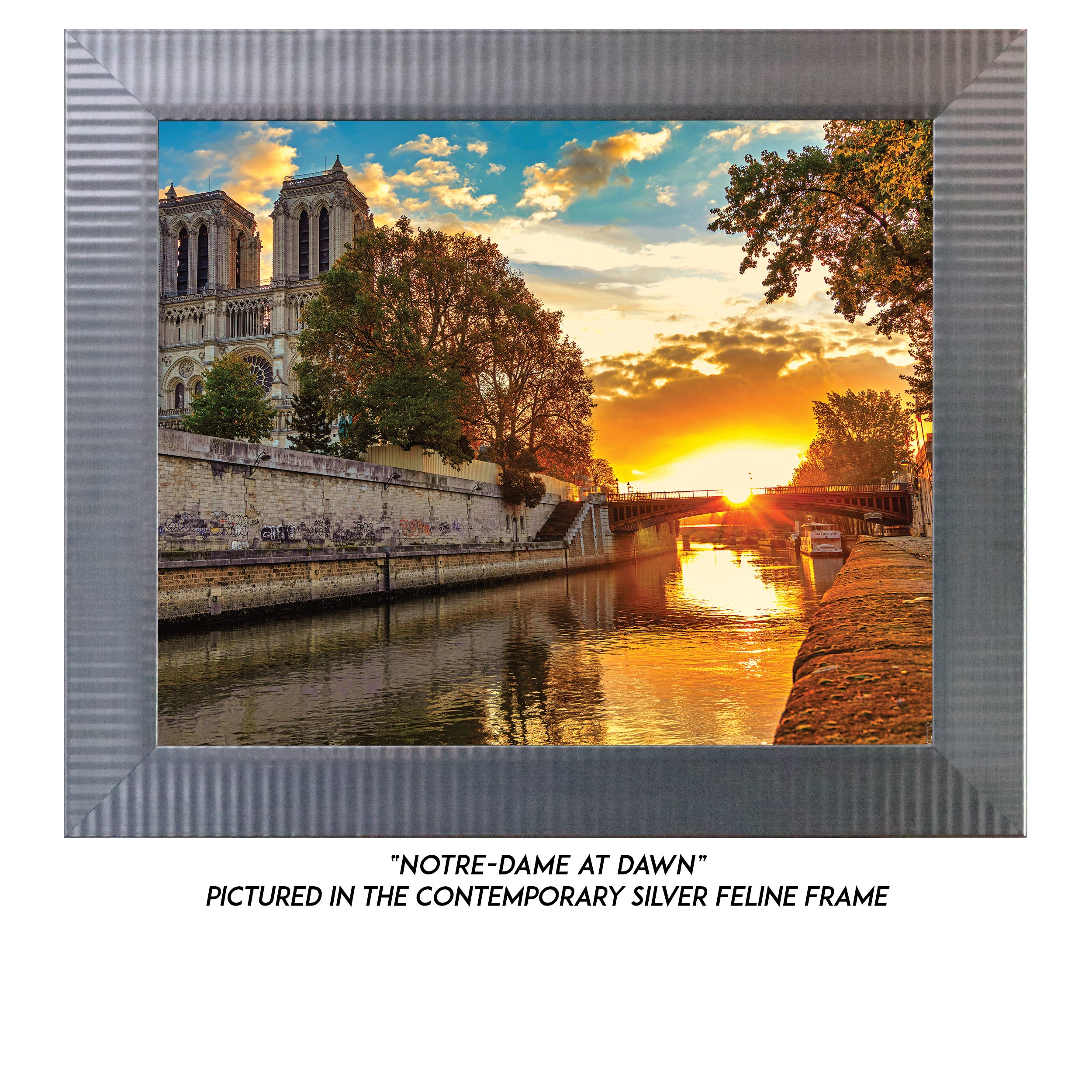 Notre-Dame-At-Dawn-S.jpg