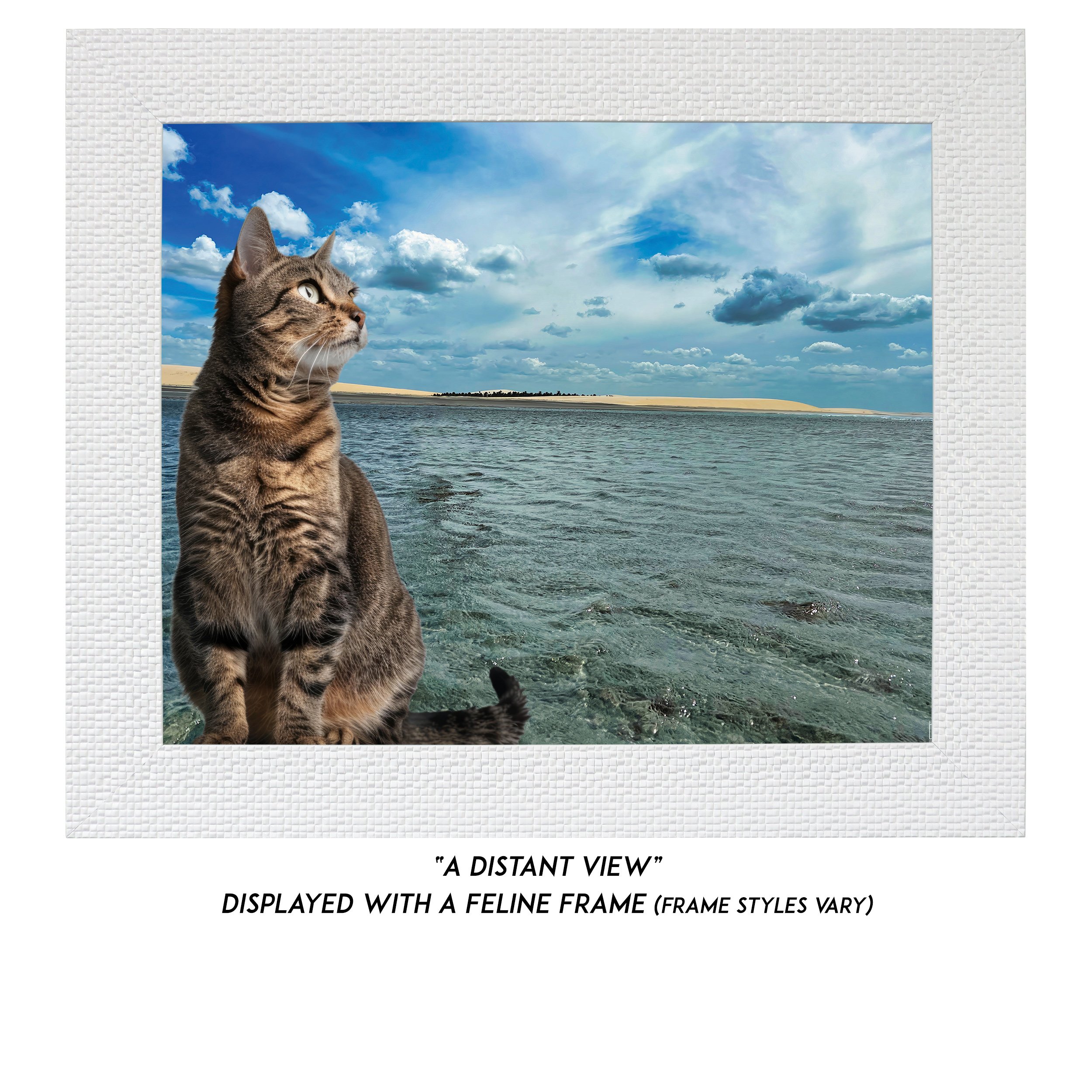 A-Distant-View-CAT.jpg