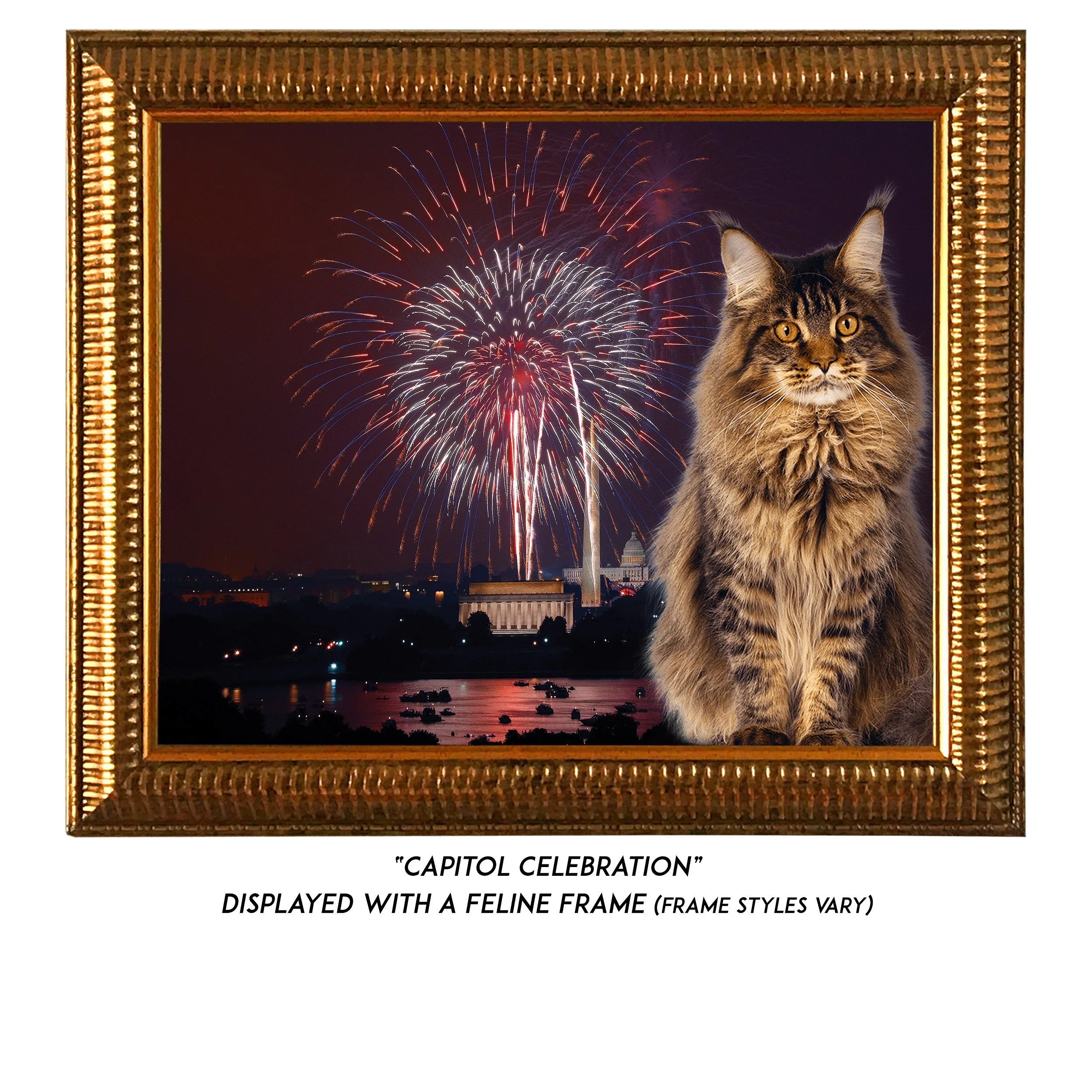 Capitol-Celebration-CAT.jpg