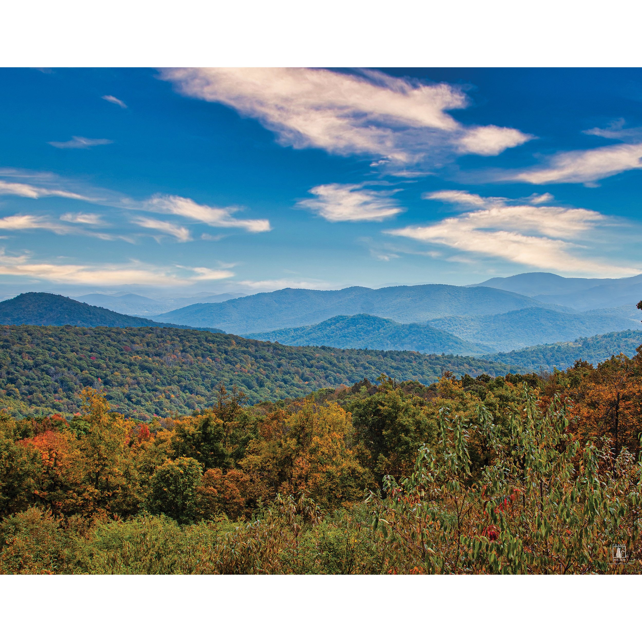 "Foliage Far & Wide" | By Mike Powell